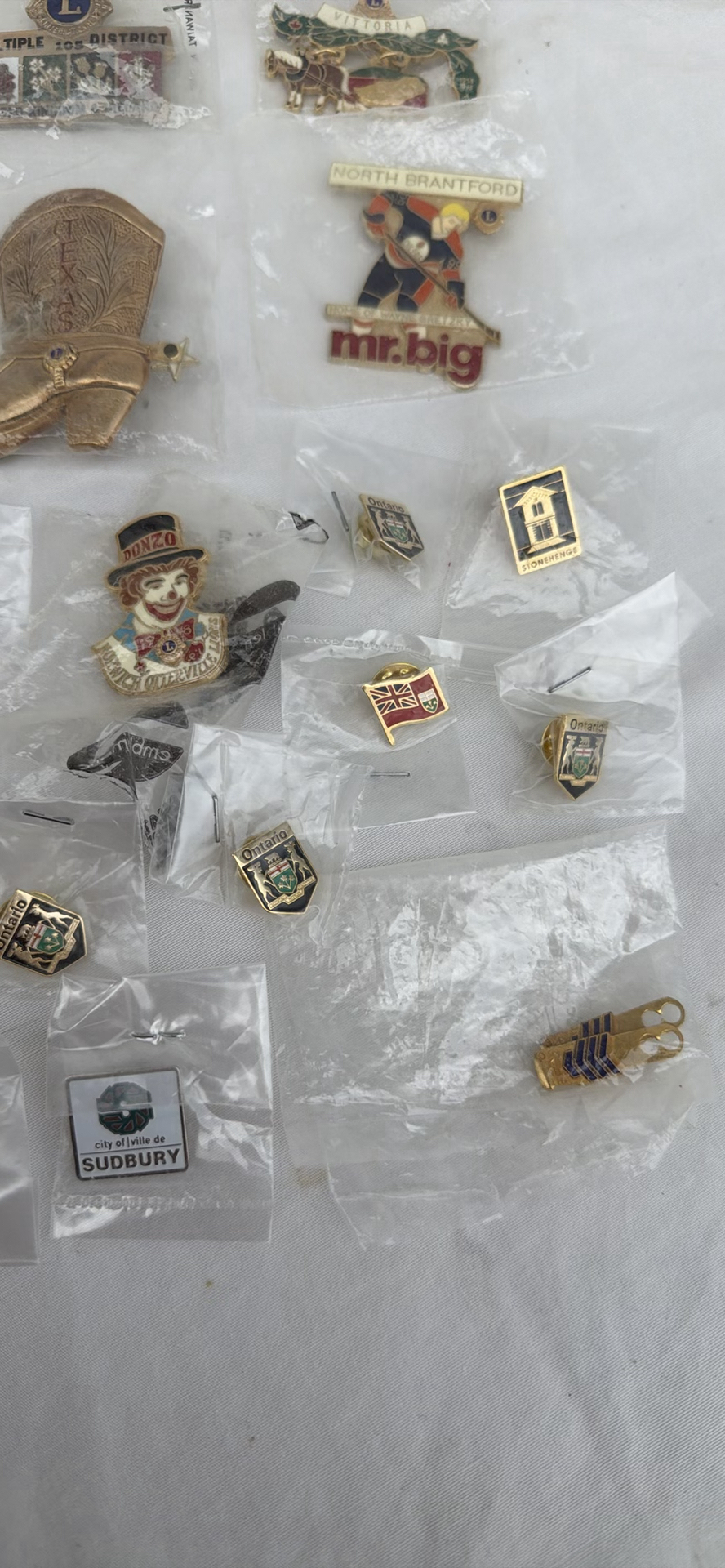 Collection of Lions Club and Regional Commemorative Pins - image 6 of 6