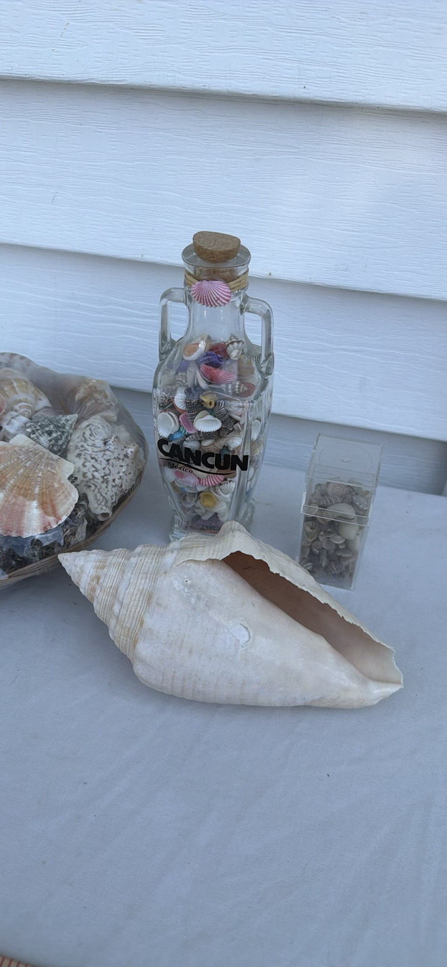 Assorted Seashell Decor Items - image 4 of 5