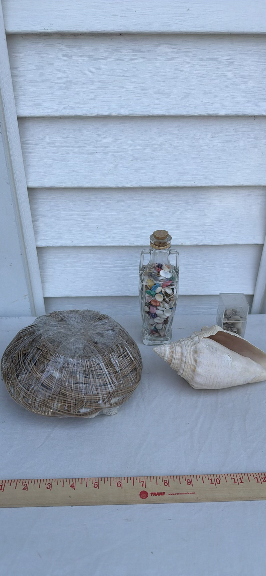 Assorted Seashell Decor Items - image 5 of 5