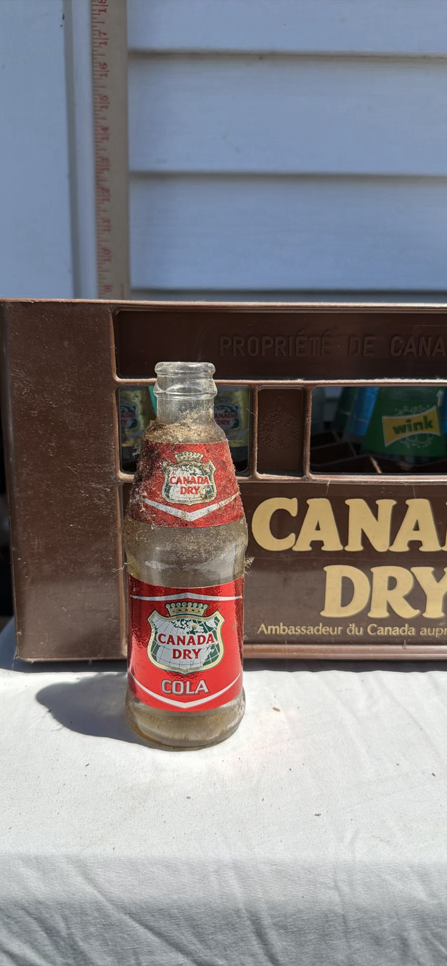 Vintage Canada Dry Beverage Crate with OLD Glass Soda Bottles - image 12 of 22