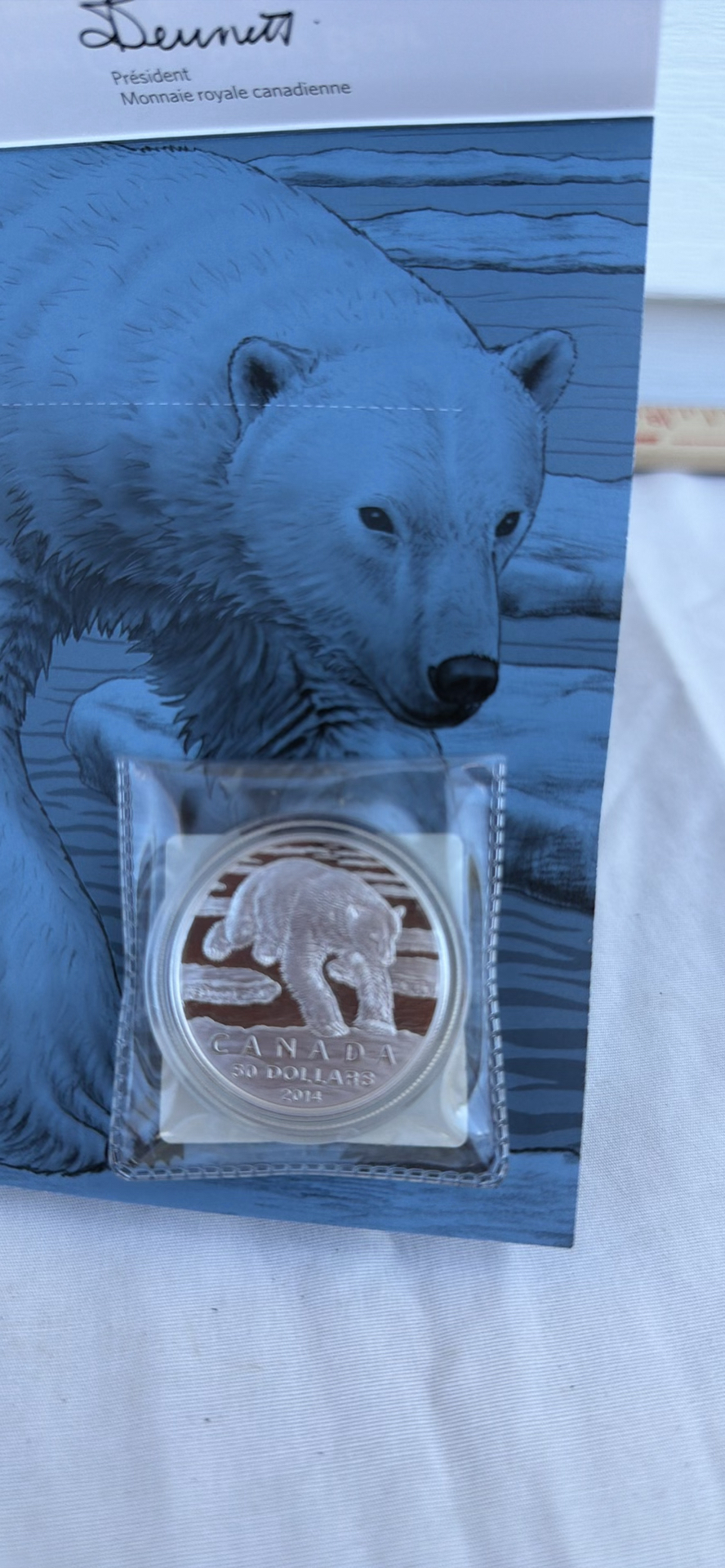 Royal Canadian Mint $50 Fine Silver Polar Bear Coin - image 5 of 8