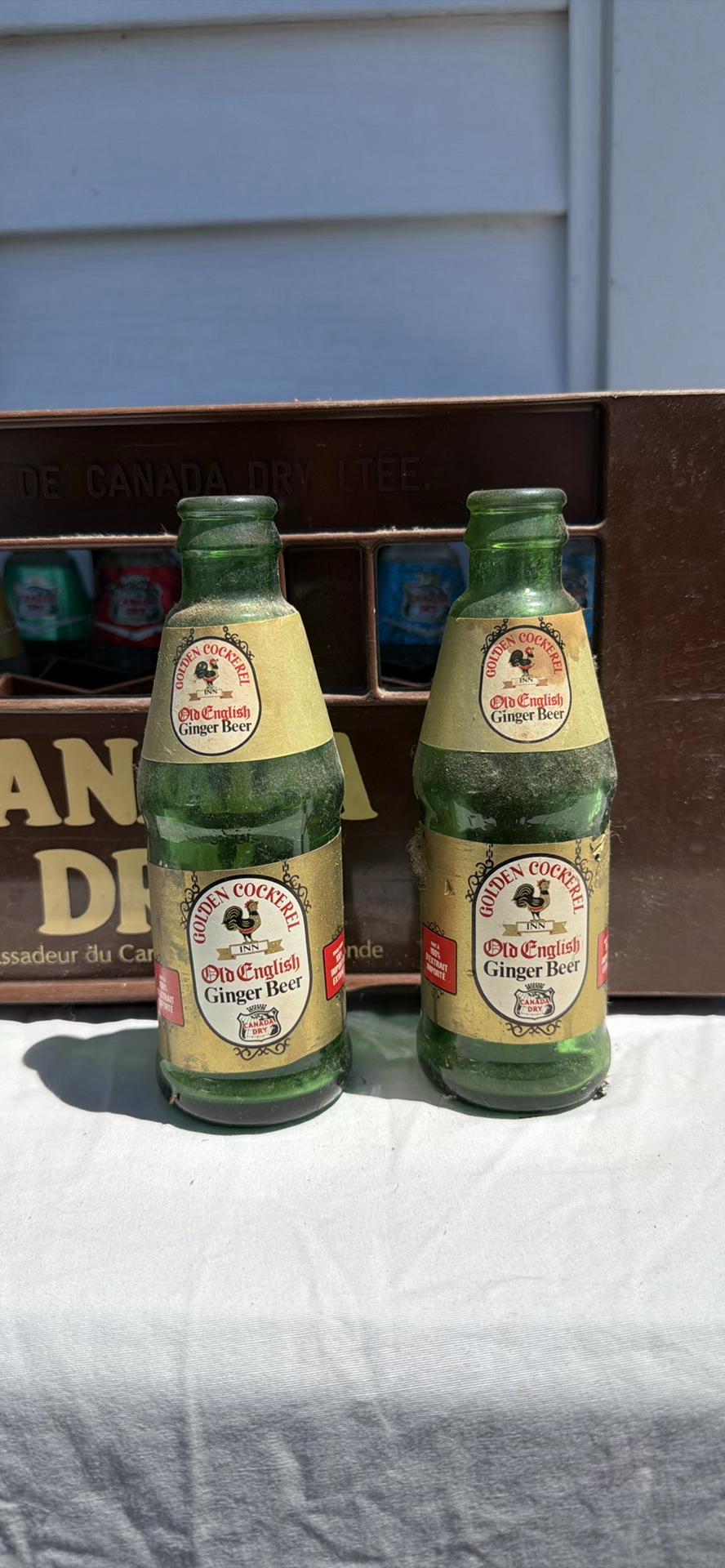 Vintage Canada Dry Beverage Crate with OLD Glass Soda Bottles - image 16 of 22