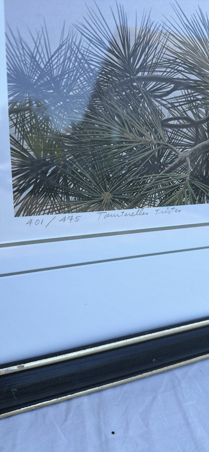 Framed Limited Edition Dove Art Print - image 3 of 8