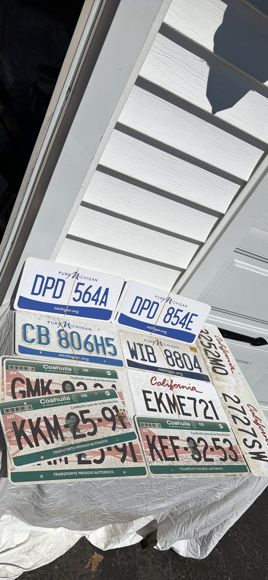 Assorted Replica License Plates from Michigan, California, and Mexico - image 1 of 4