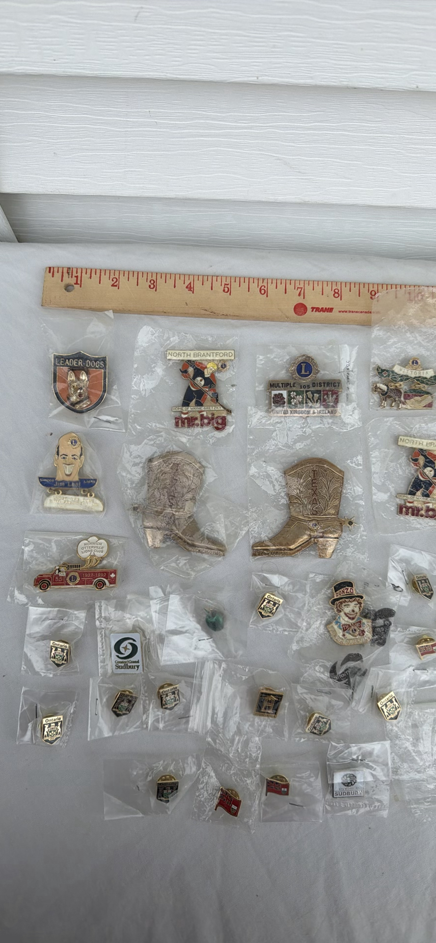 Collection of Lions Club and Regional Commemorative Pins - image 2 of 6