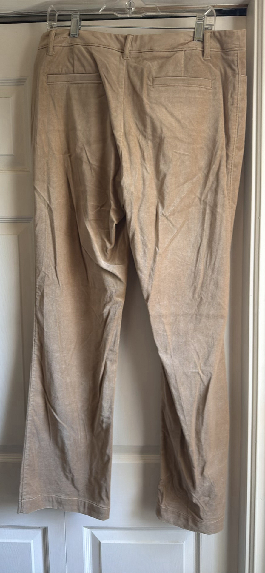 Mario Serrani and Chapter One Women's Dress Pants Size 14 - image 10 of 13