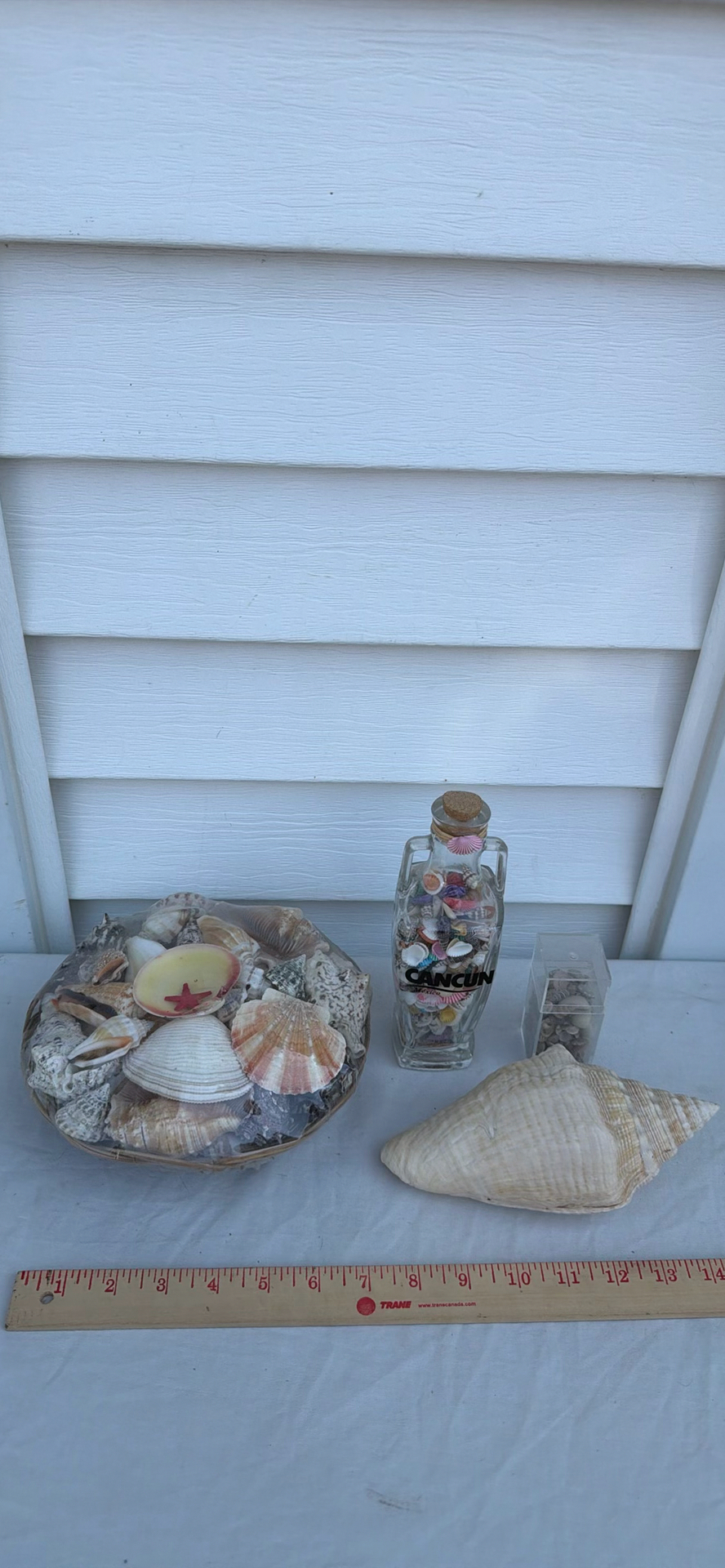 Assorted Seashell Decor Items - image 2 of 5