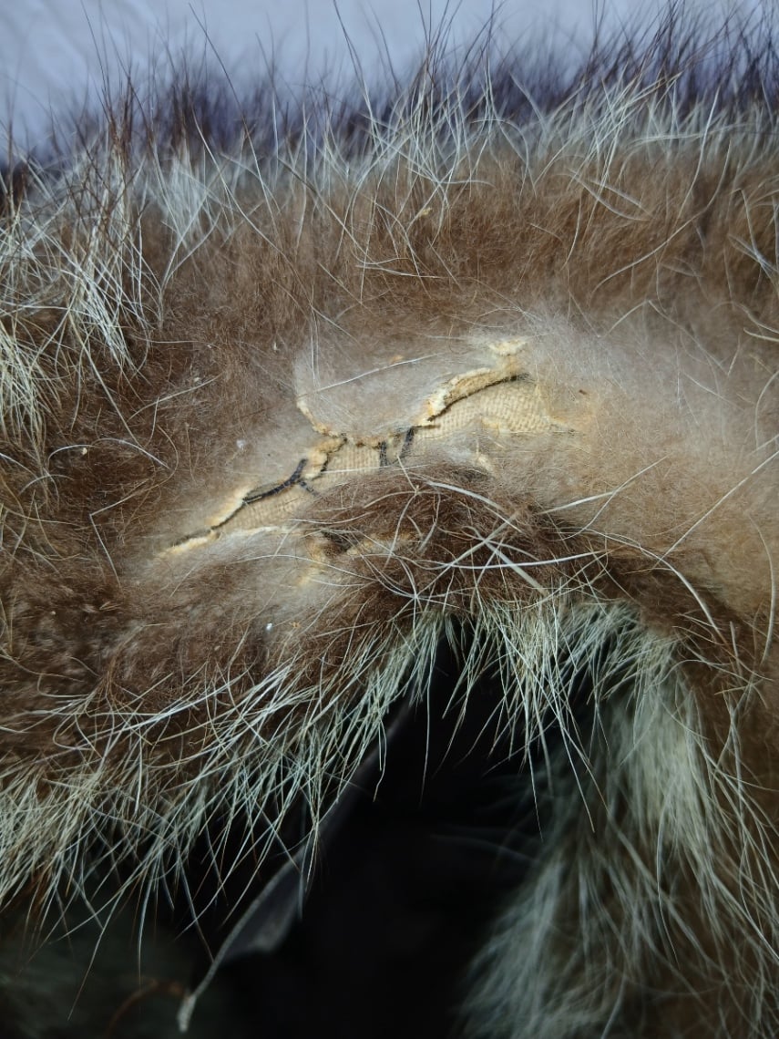 Men’s Vintage  Full Length Raccoon Coat  - image 7 of 8