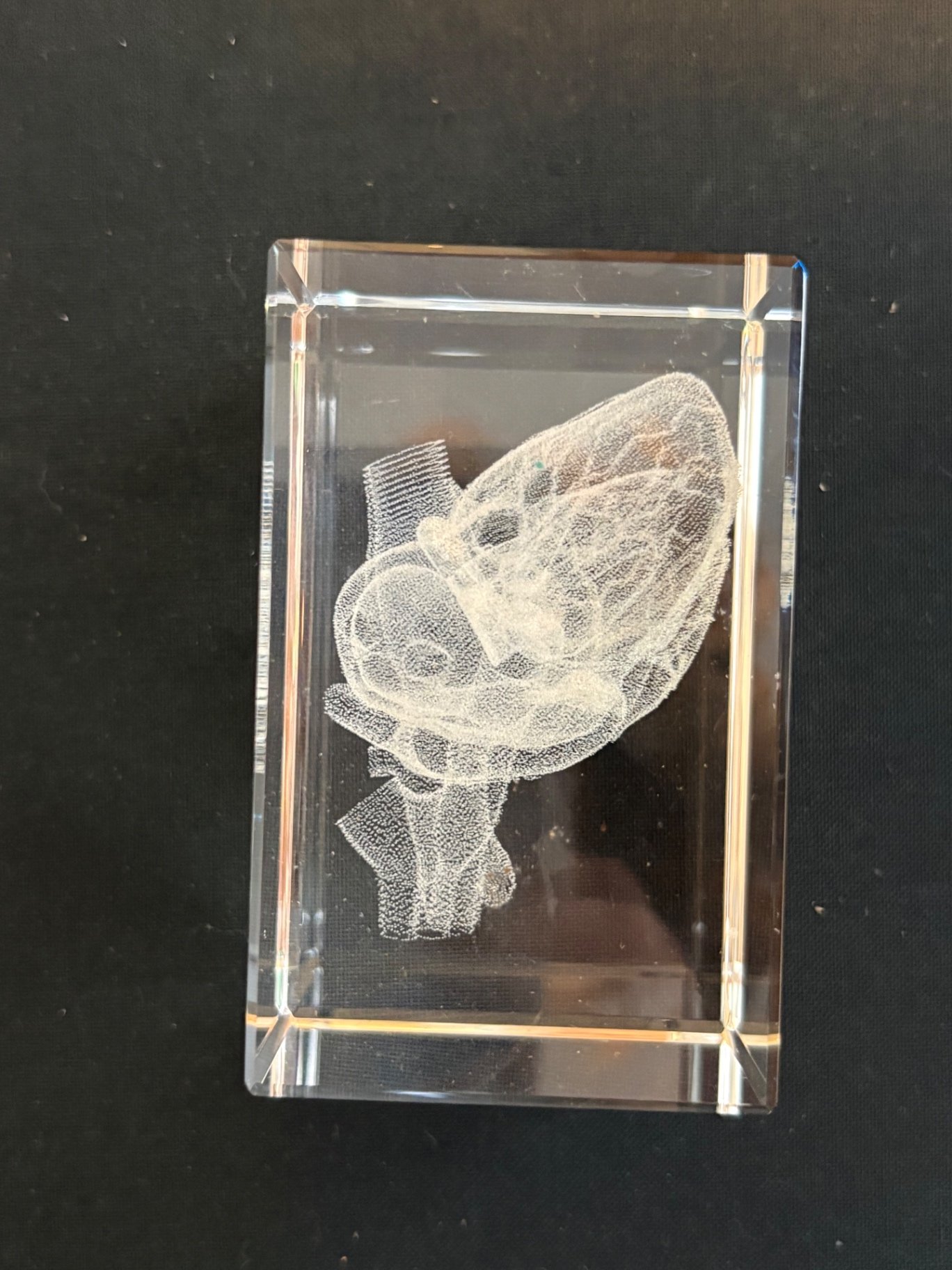 MCM Desk Set With Bakelite Blotter  - image 10 of 13