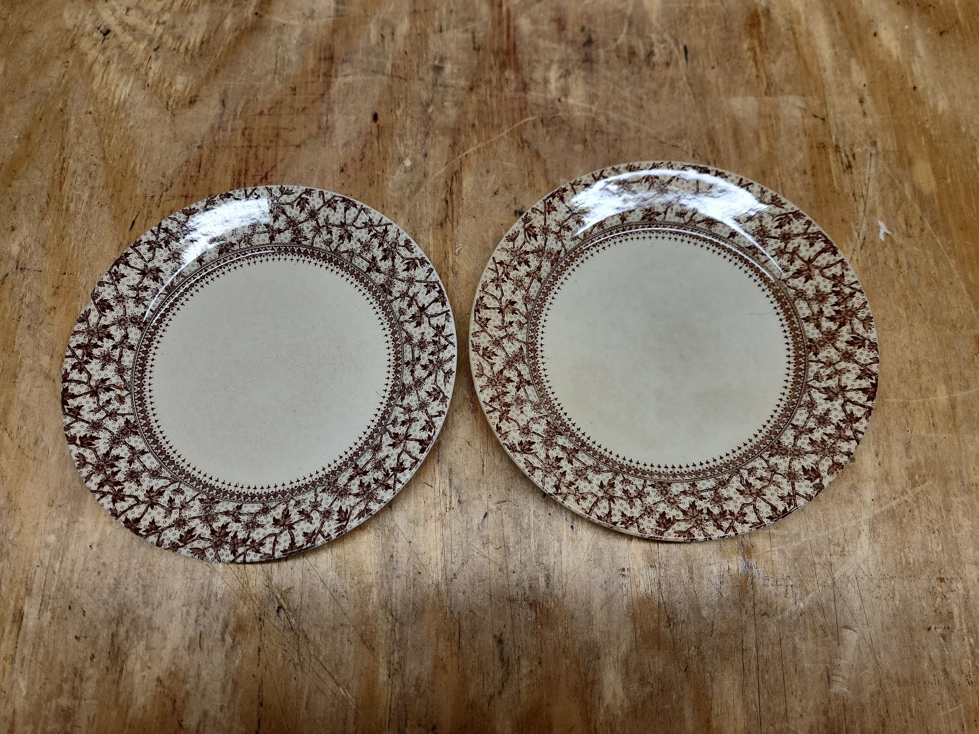 D.B. & Co Imperial Brown Transferware - image 12 of 24