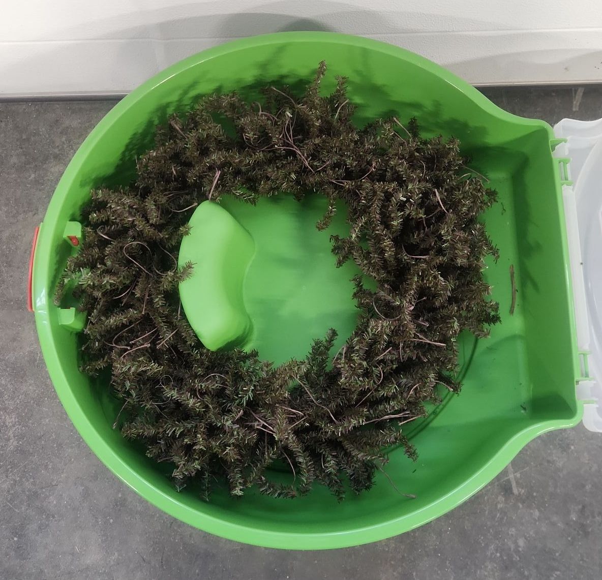 Wreath & Wreath Box Lot - image 8 of 11