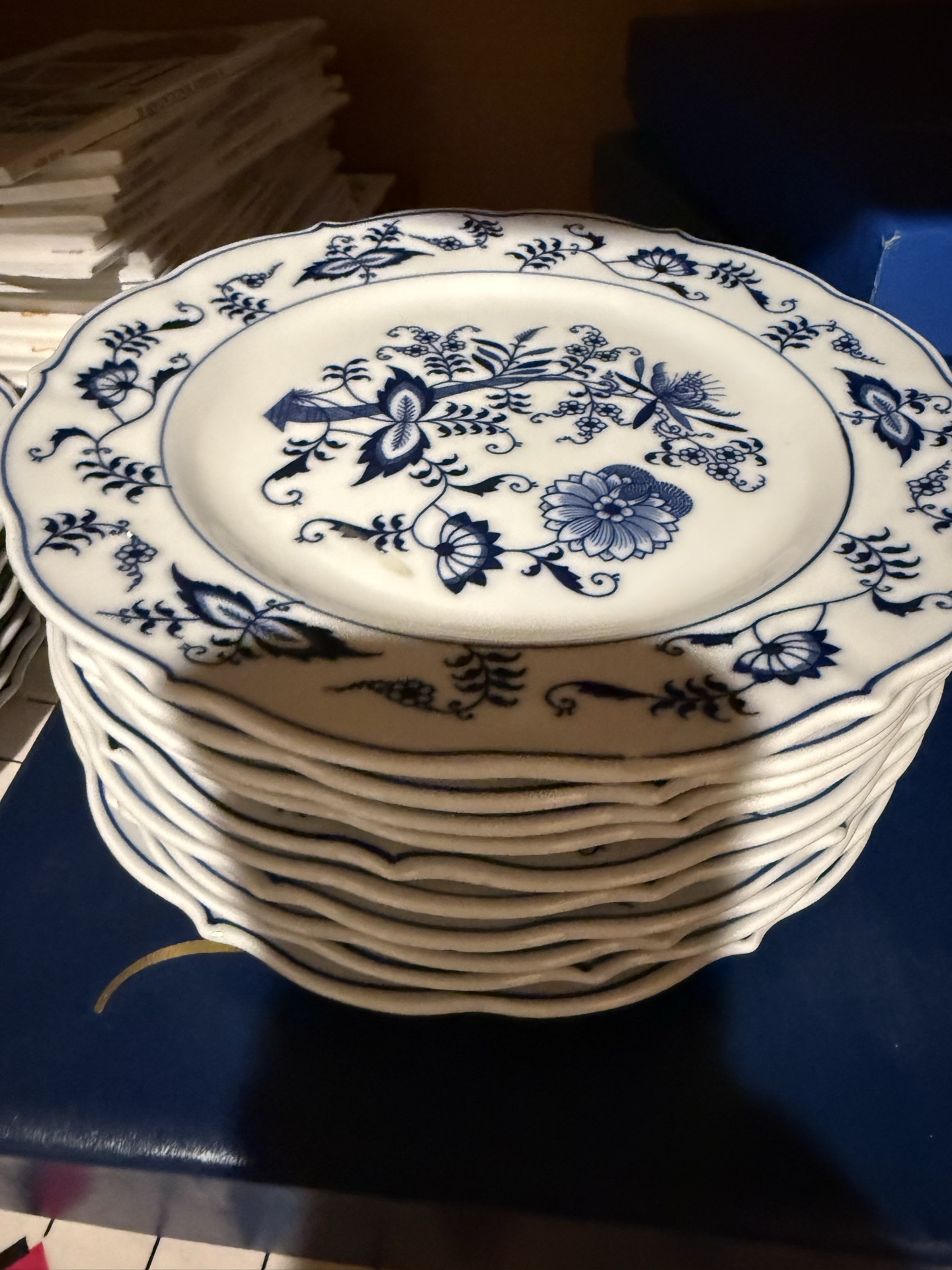 Blue Danube Blue-and-White Dinnerware and Tea Set - image 15 of 18