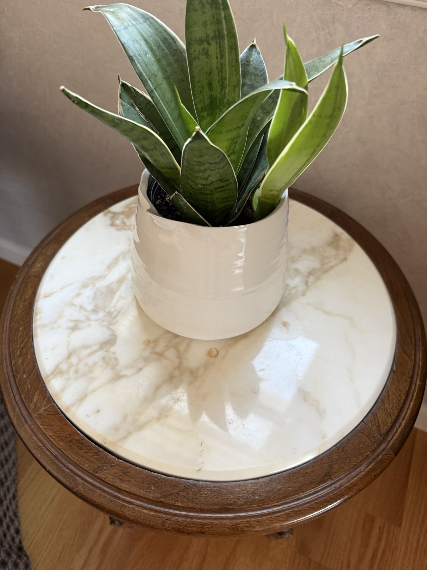 Louis XVI style armchair with ottoman, marble-top side table, and plant - image 4 of 6