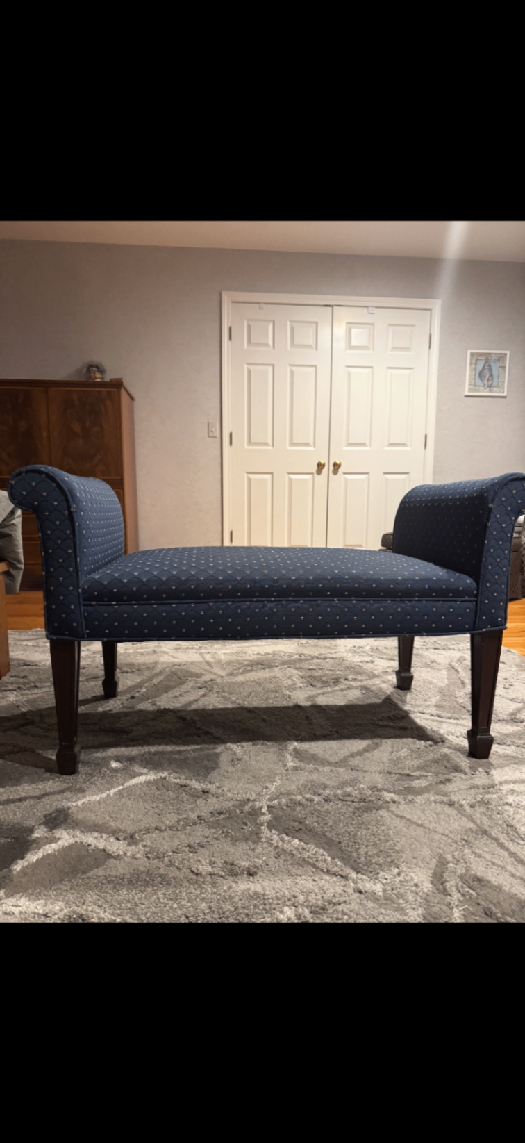 Blue patterned chaise lounge - image 1 of 1
