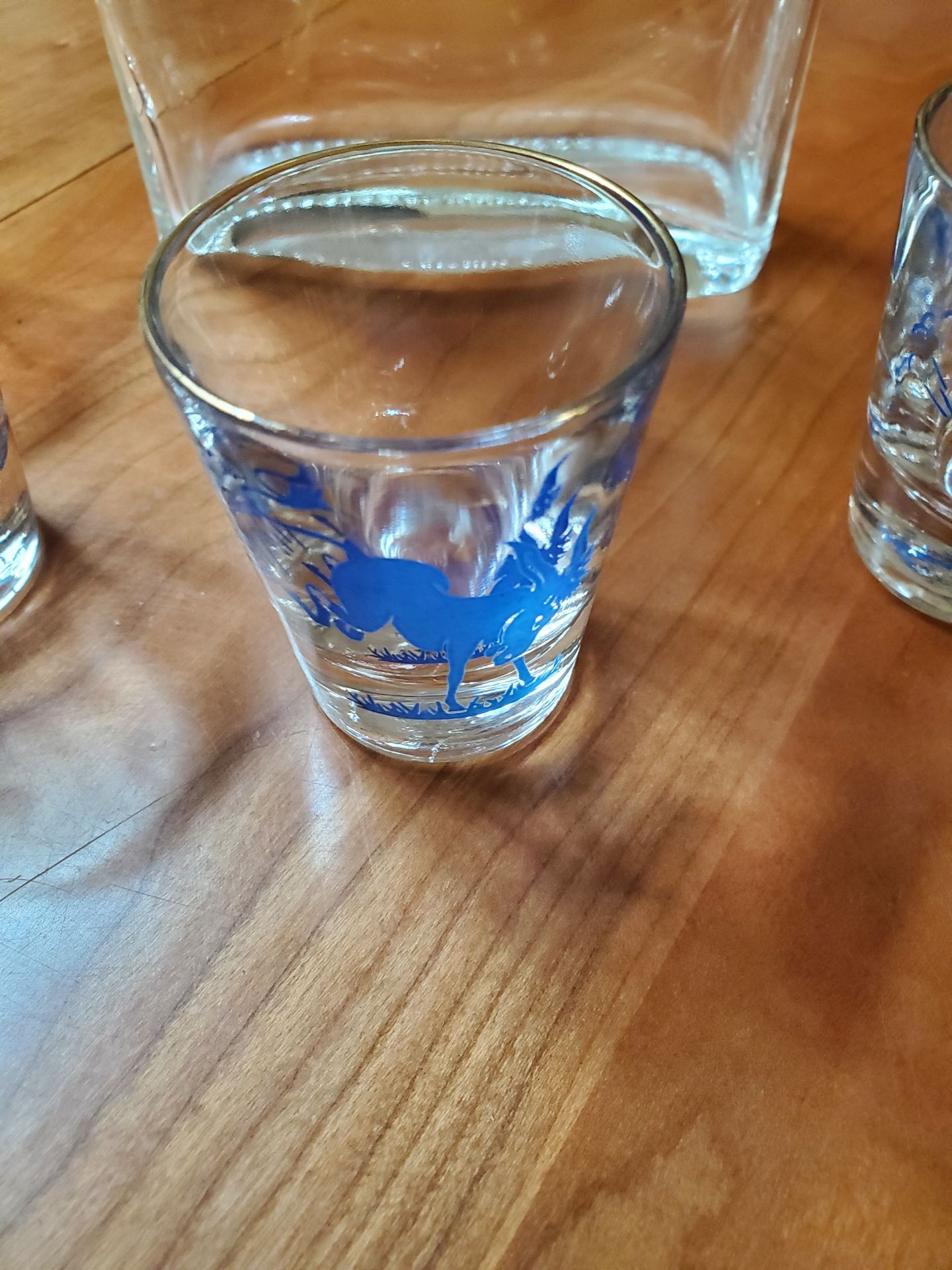 Bottle And Shot Glasses - image 4 of 7