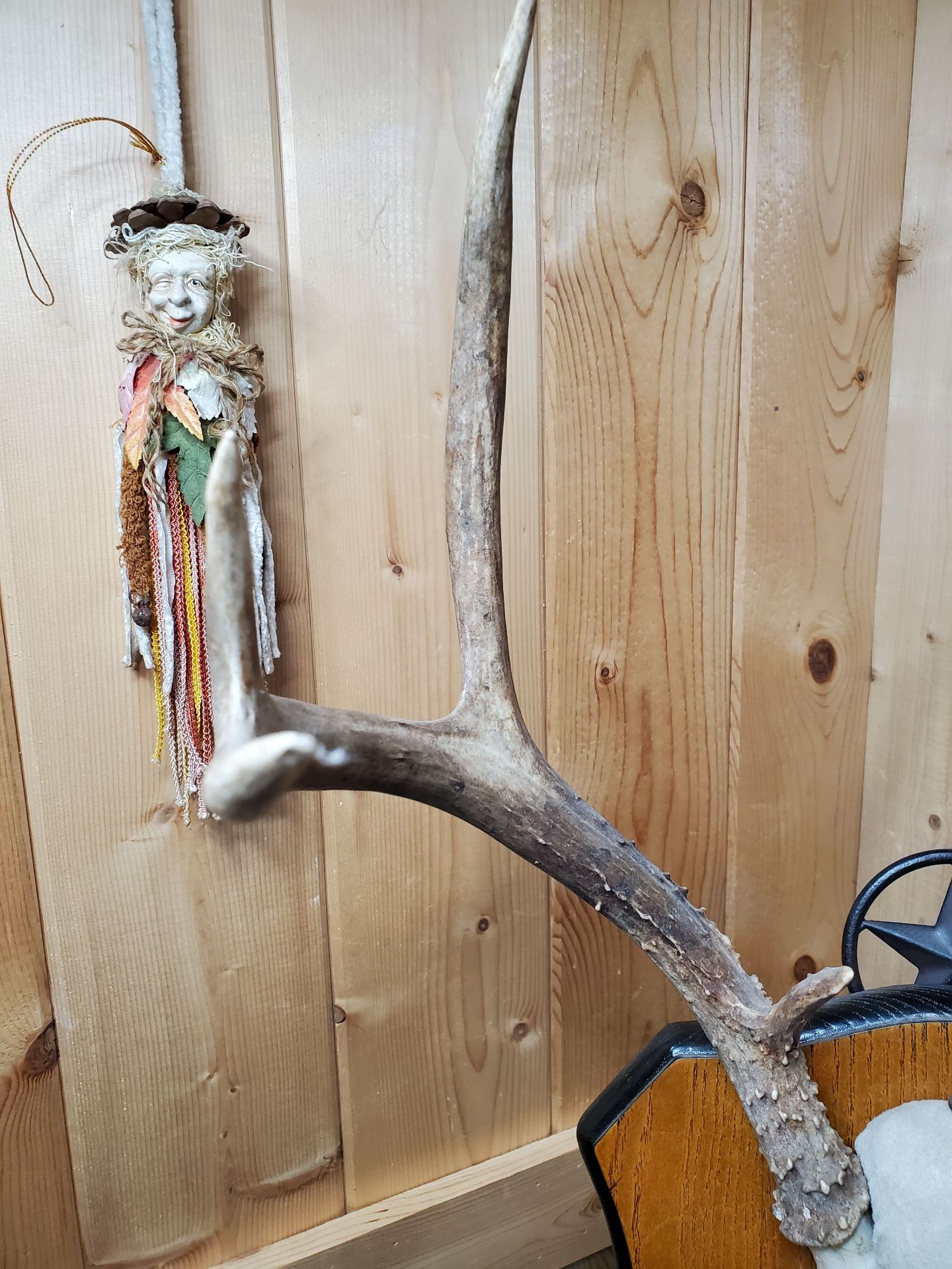 Two Sets of Antlers. - image 4 of 9