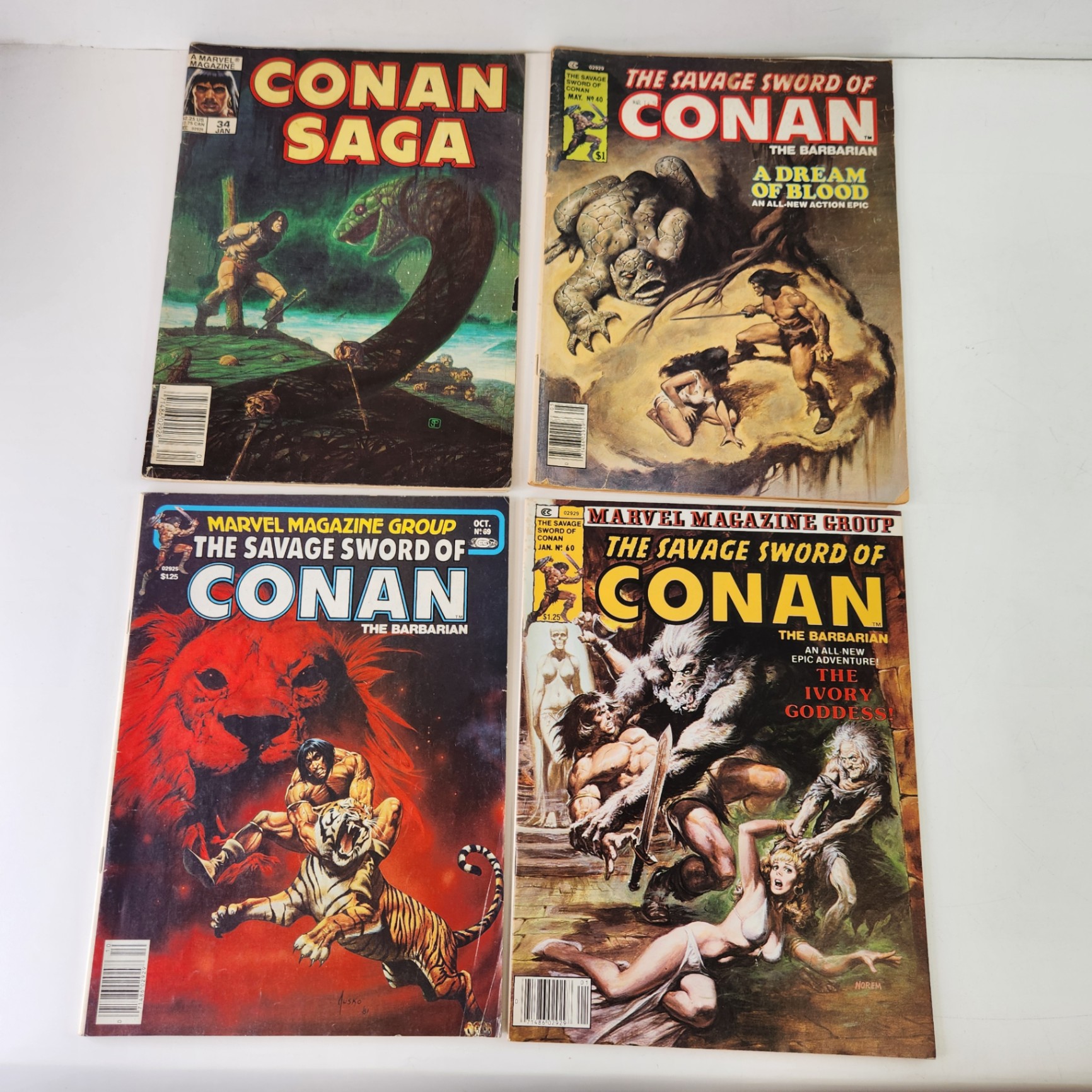 Savage Sword of Conan #34, 40, 60, 69 Magazine Comics - image 1 of 4