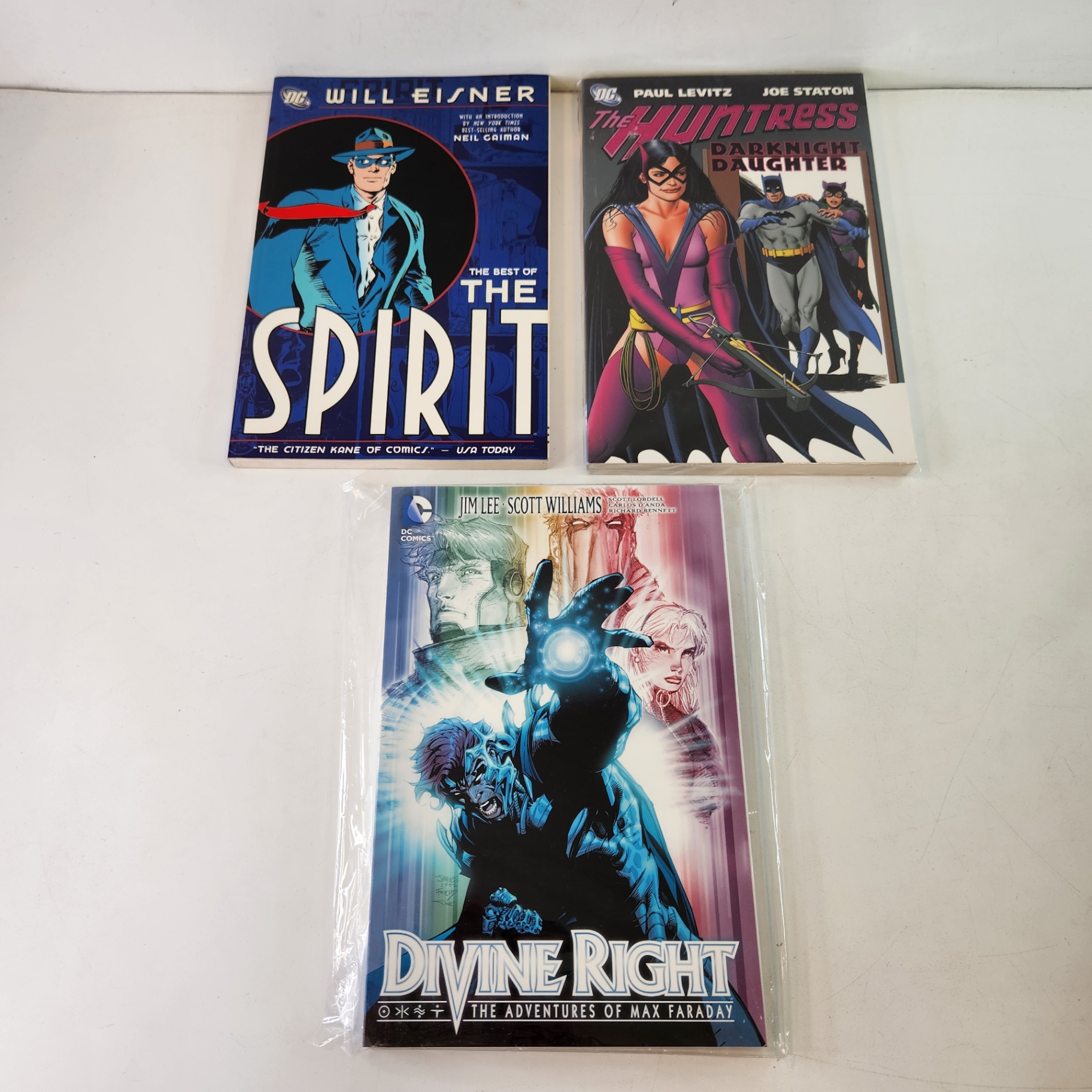 DC Comics Huntress Spirit Divine Right TPBs - image 1 of 5