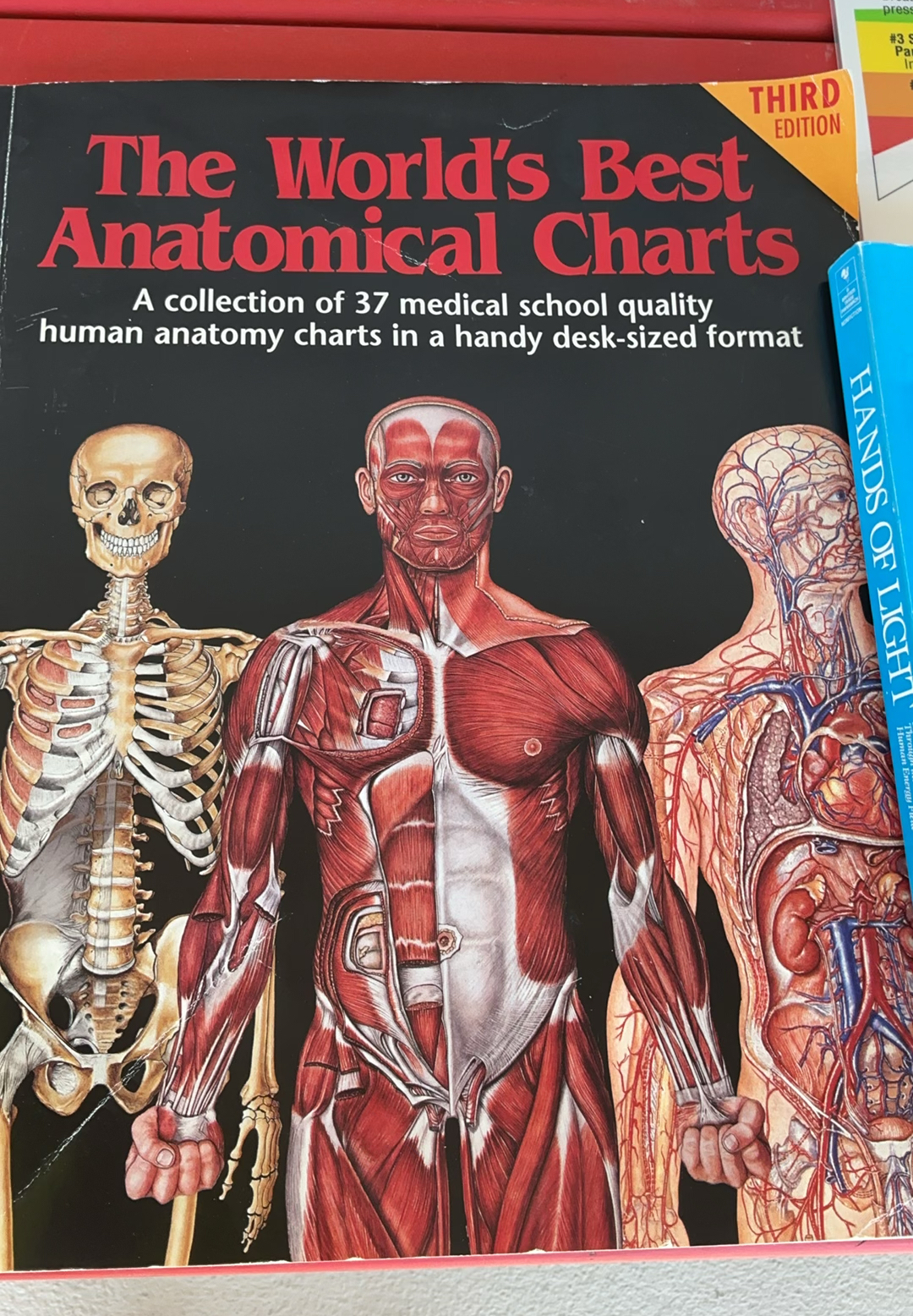 Anatomy, Healing, Reiki, and Yoga Books and DVDs - image 2 of 8