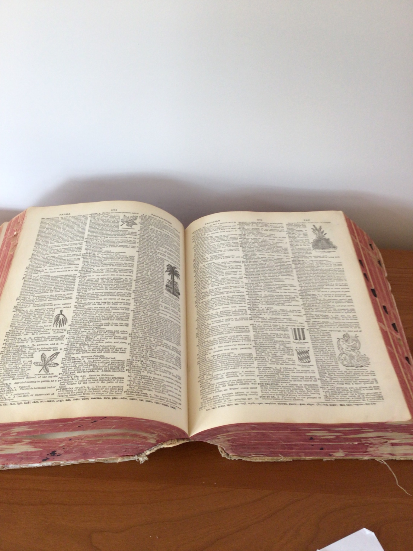 Open antique dictionary with pressed leaf and handwritten inscription - image 4 of 4