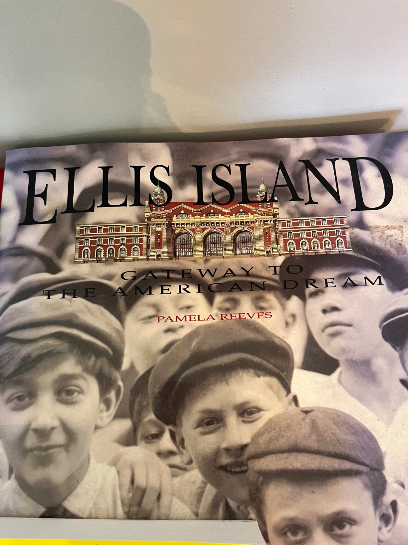 Ireland and Ellis Island Book Collection - image 3 of 3