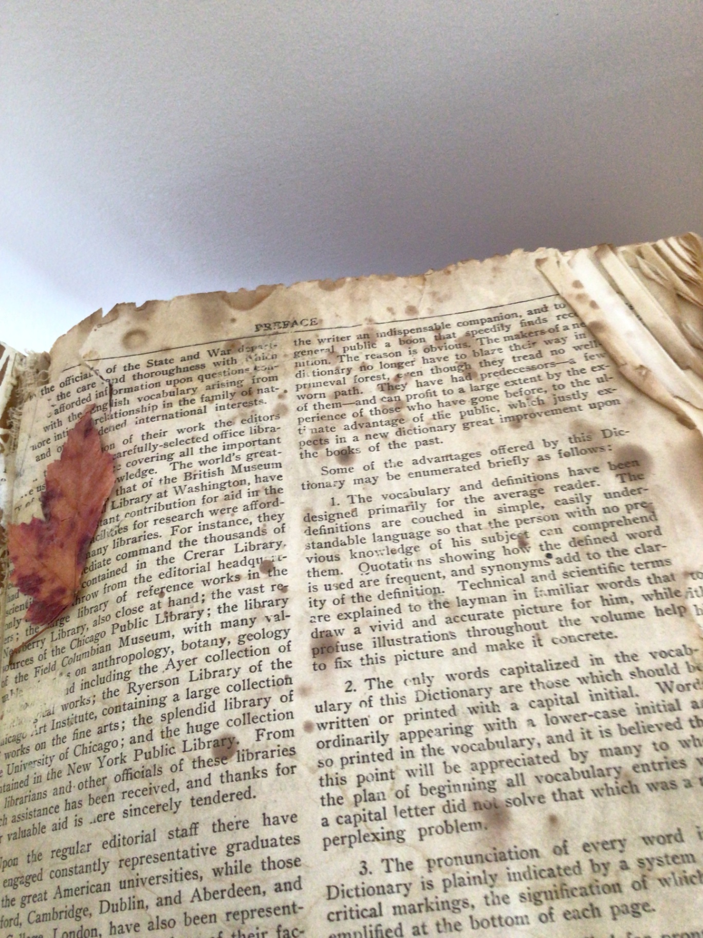 Open antique dictionary with pressed leaf and handwritten inscription - image 1 of 4