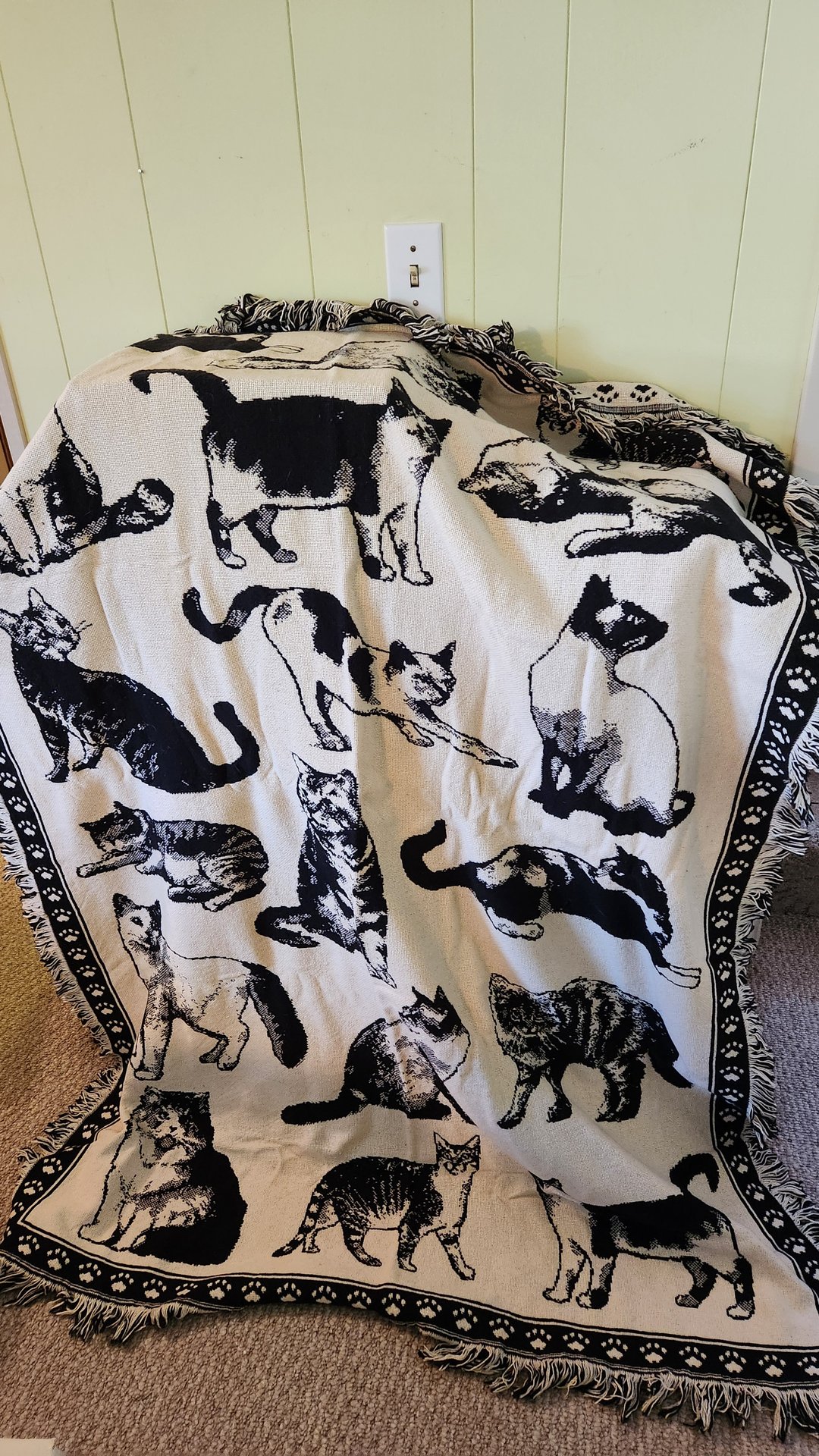 Cat-themed throw blanket 5 ft x 4 ft - image 1 of 3