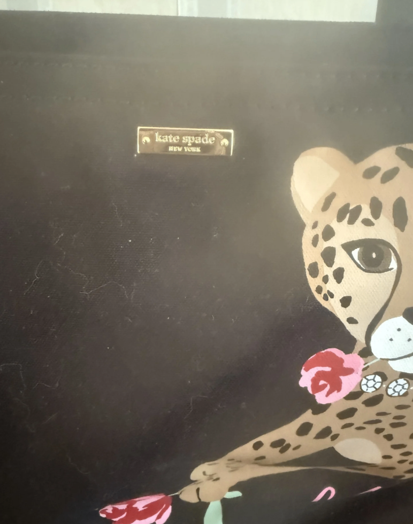 Kate Spade Bag (as is condition) - image 2 of 7