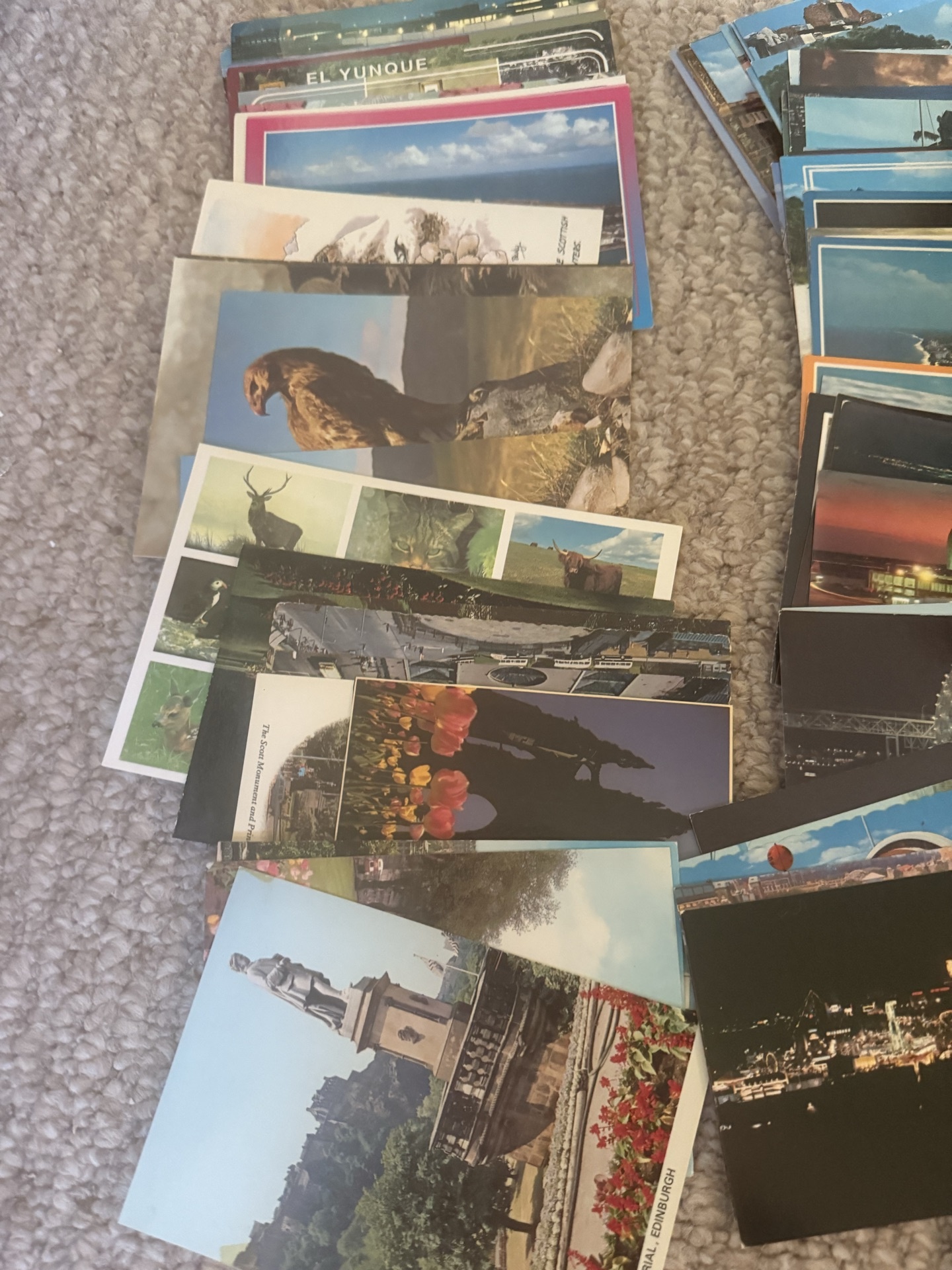 Assorted Travel Postcards and Souvenir Cards - image 18 of 19