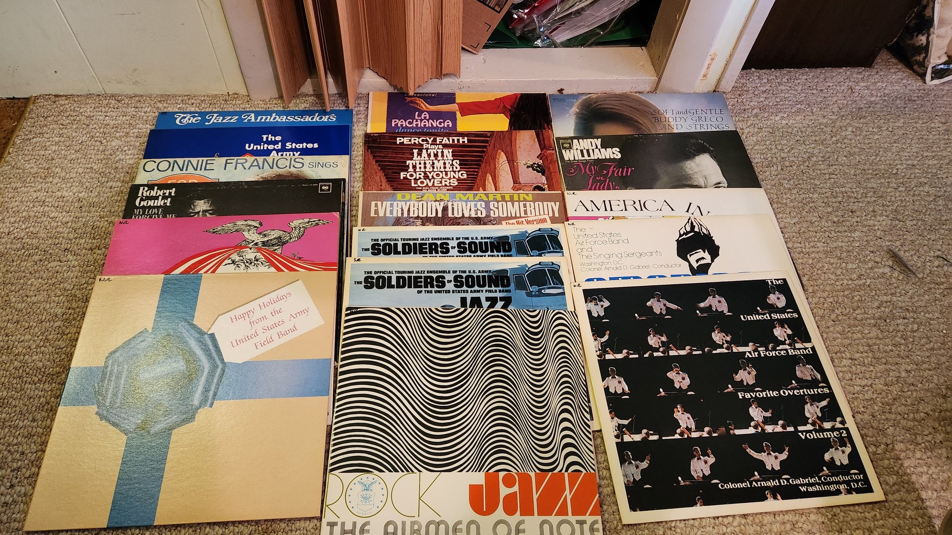Vinyl Record Collection - image 1 of 3