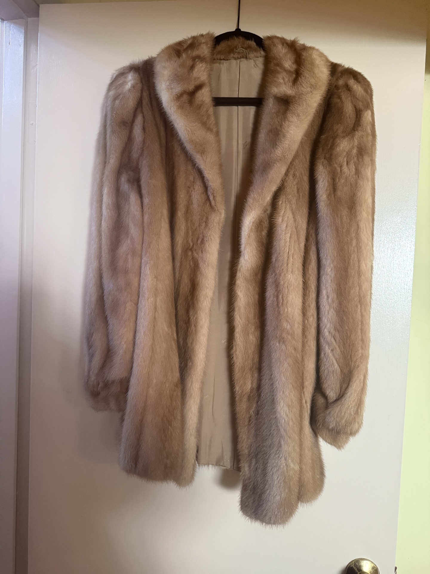  fur coat  - image 1 of 5
