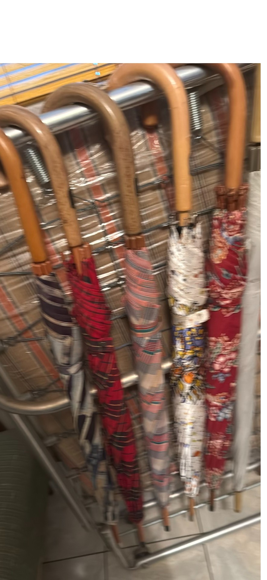 Assorted Patterned Umbrellas - image 1 of 1