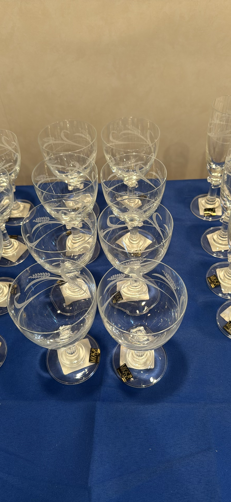 Etched Wine Goblets and Champagne Flutes Set - image 3 of 7