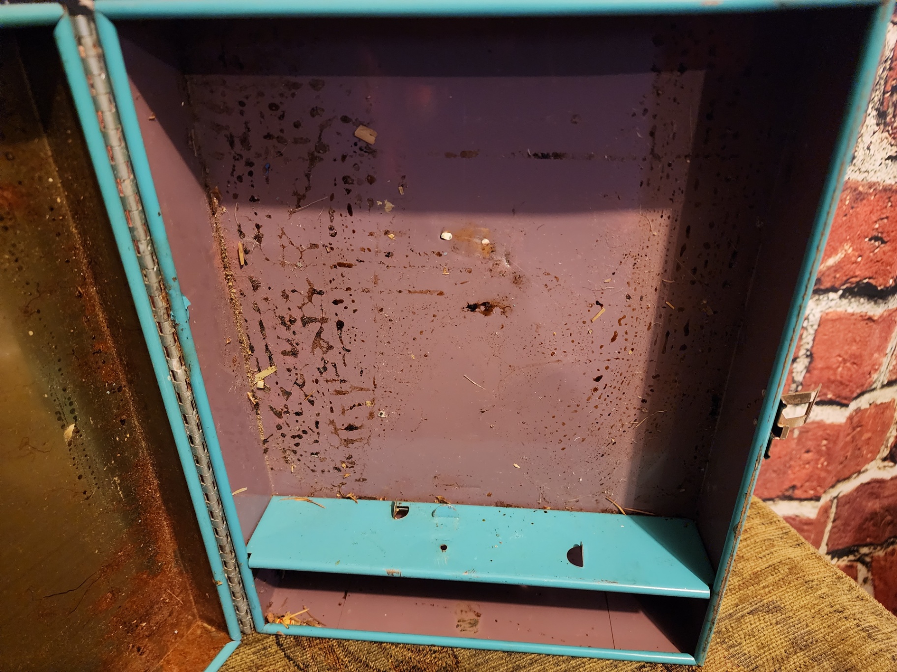 Teal metal storage box and Porter Microcraft microscope lab box - image 3 of 8
