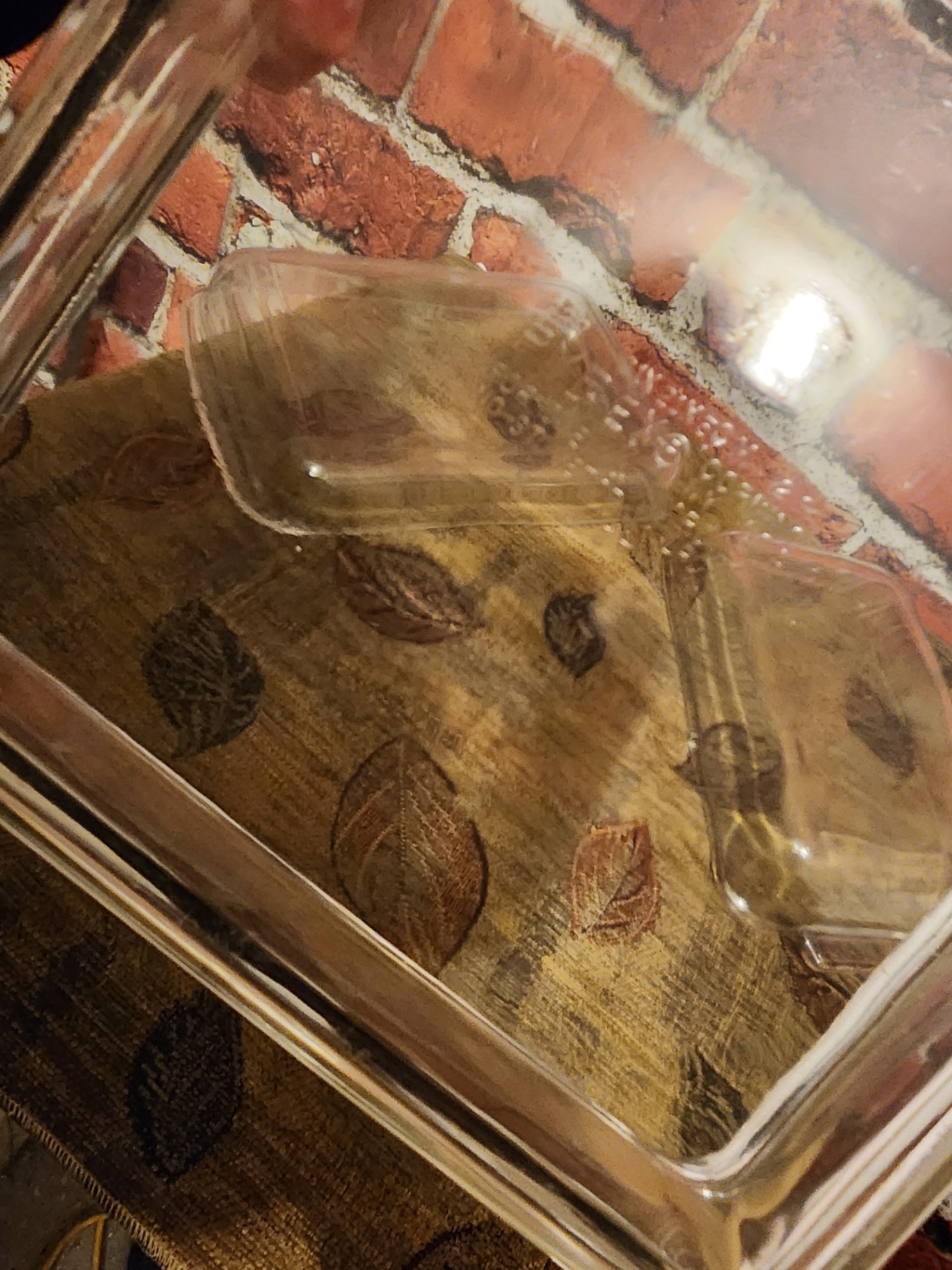 Rectangular glass bakeware dishes - image 8 of 10