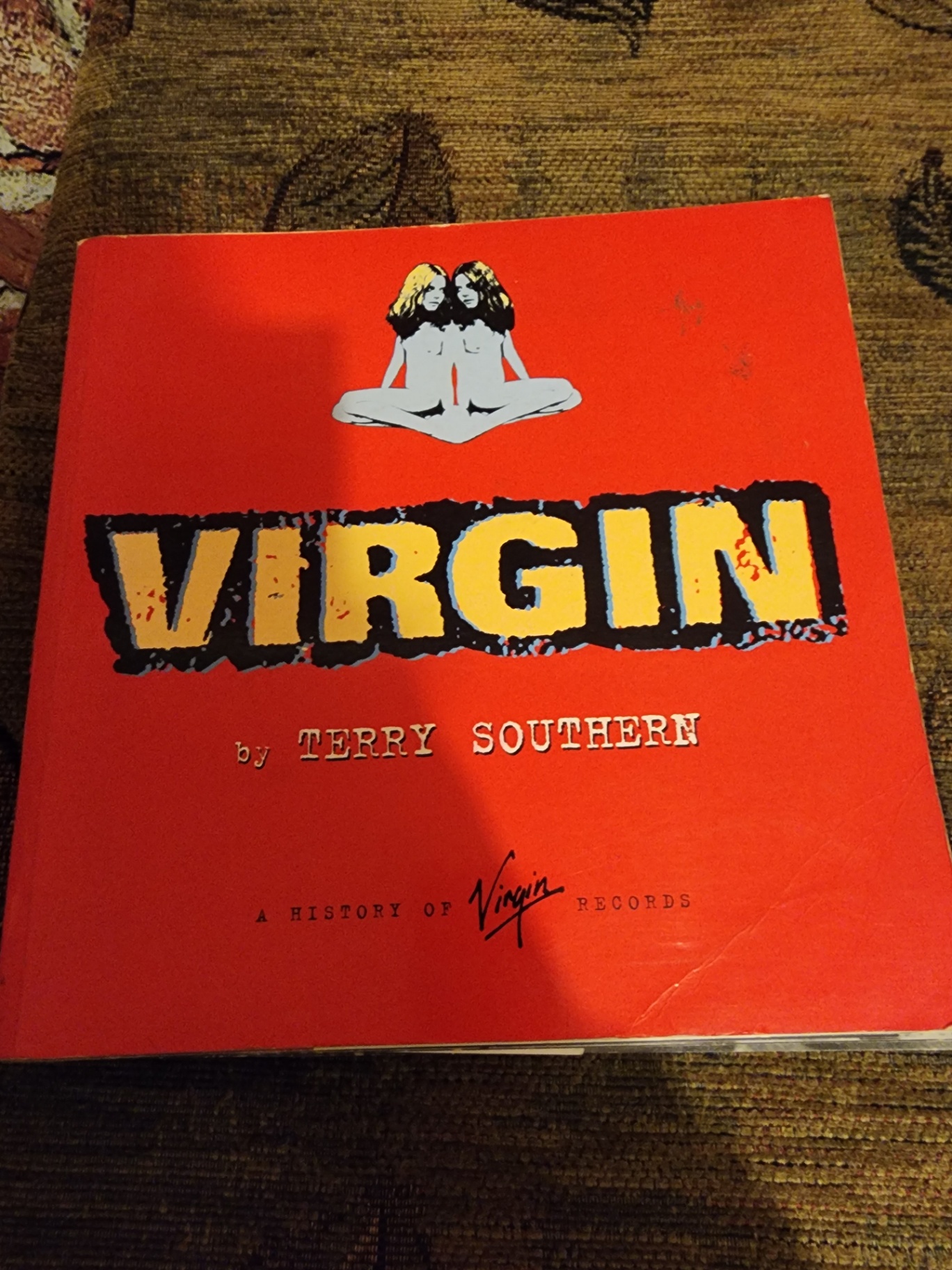 Lynyrd Skynyrd Bass Anthology vinyl collection and Virgin Records materials - image 5 of 9