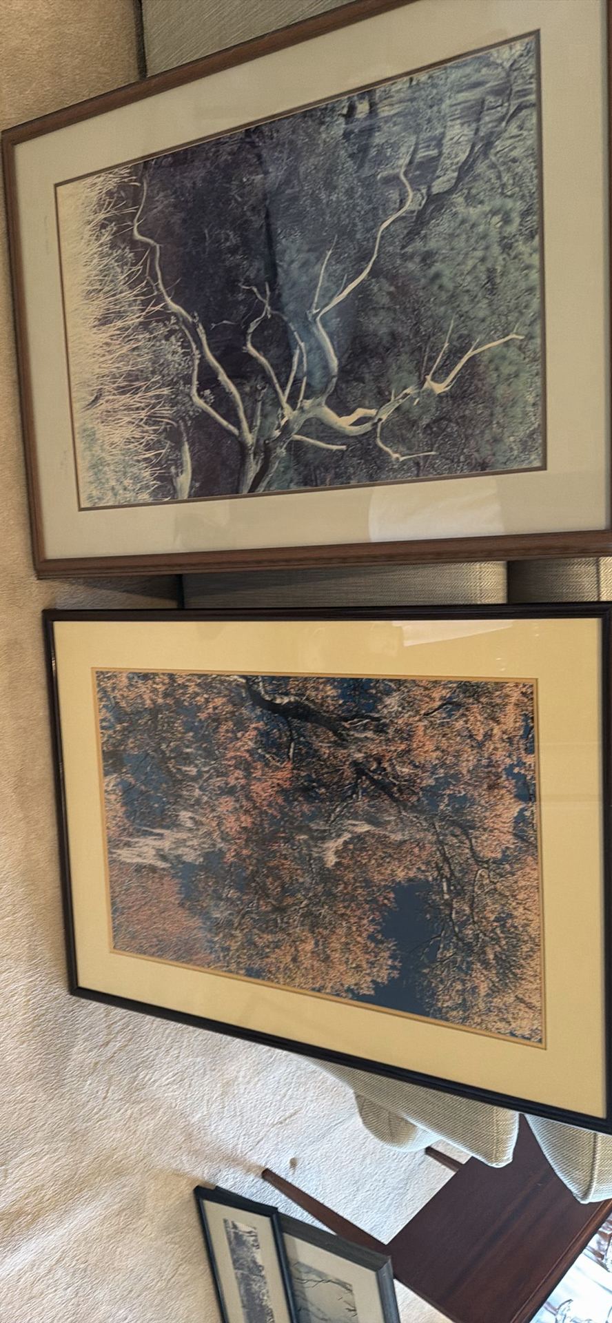 Set of Framed Nature Art Prints - image 3 of 3