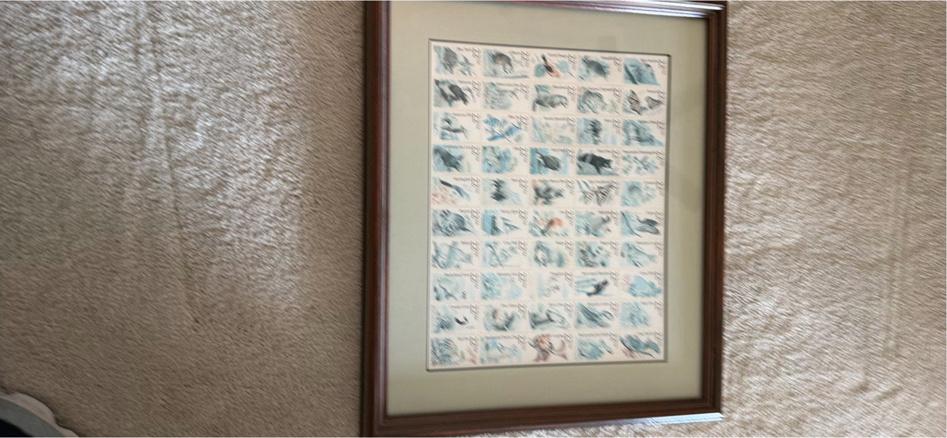 Framed Wildlife Stamp Display - image 3 of 3
