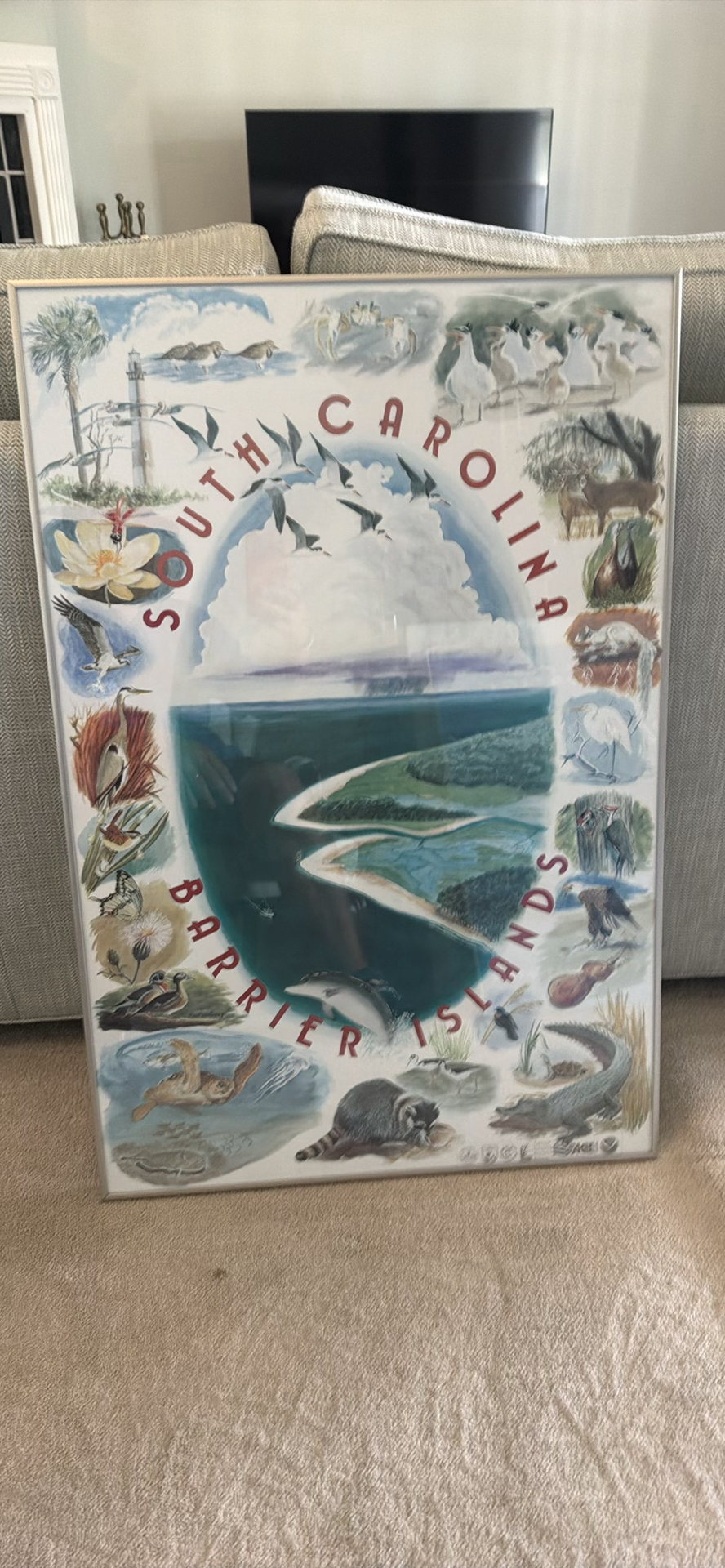 South Carolina Barrier Islands Framed Poster - image 2 of 2