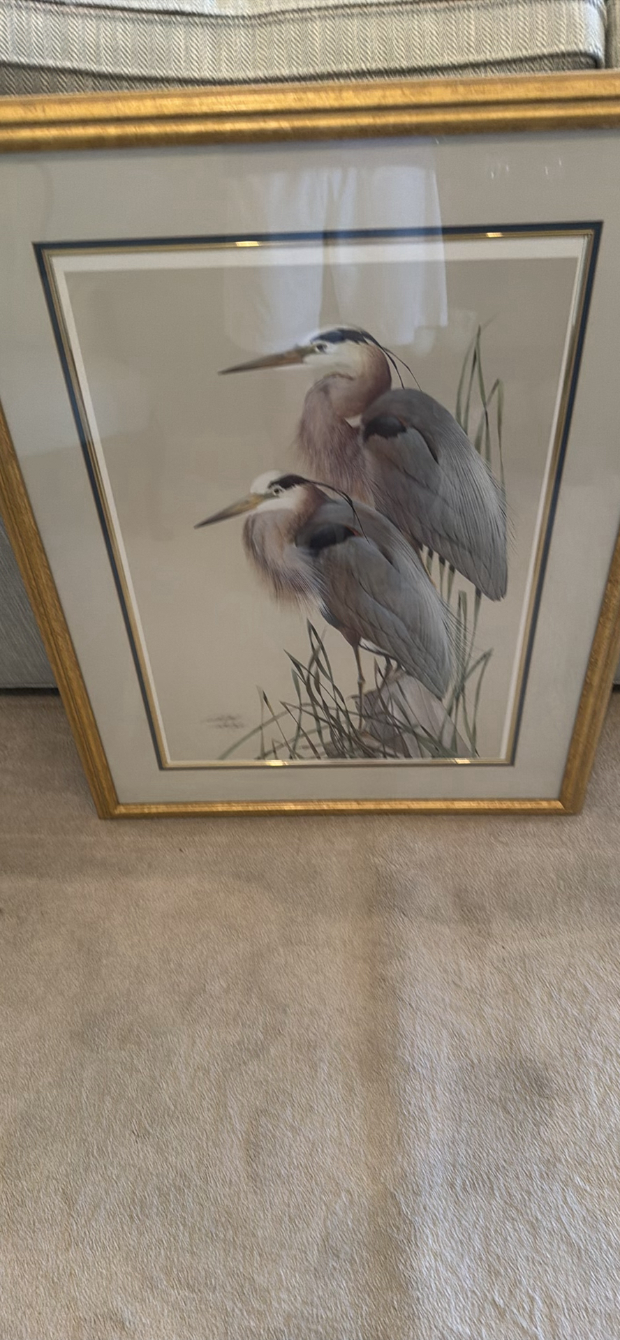 Framed Bird Artwork - image 1 of 1