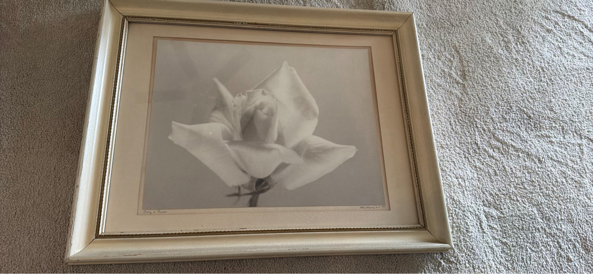 Framed Black and White Rose Print - image 2 of 3