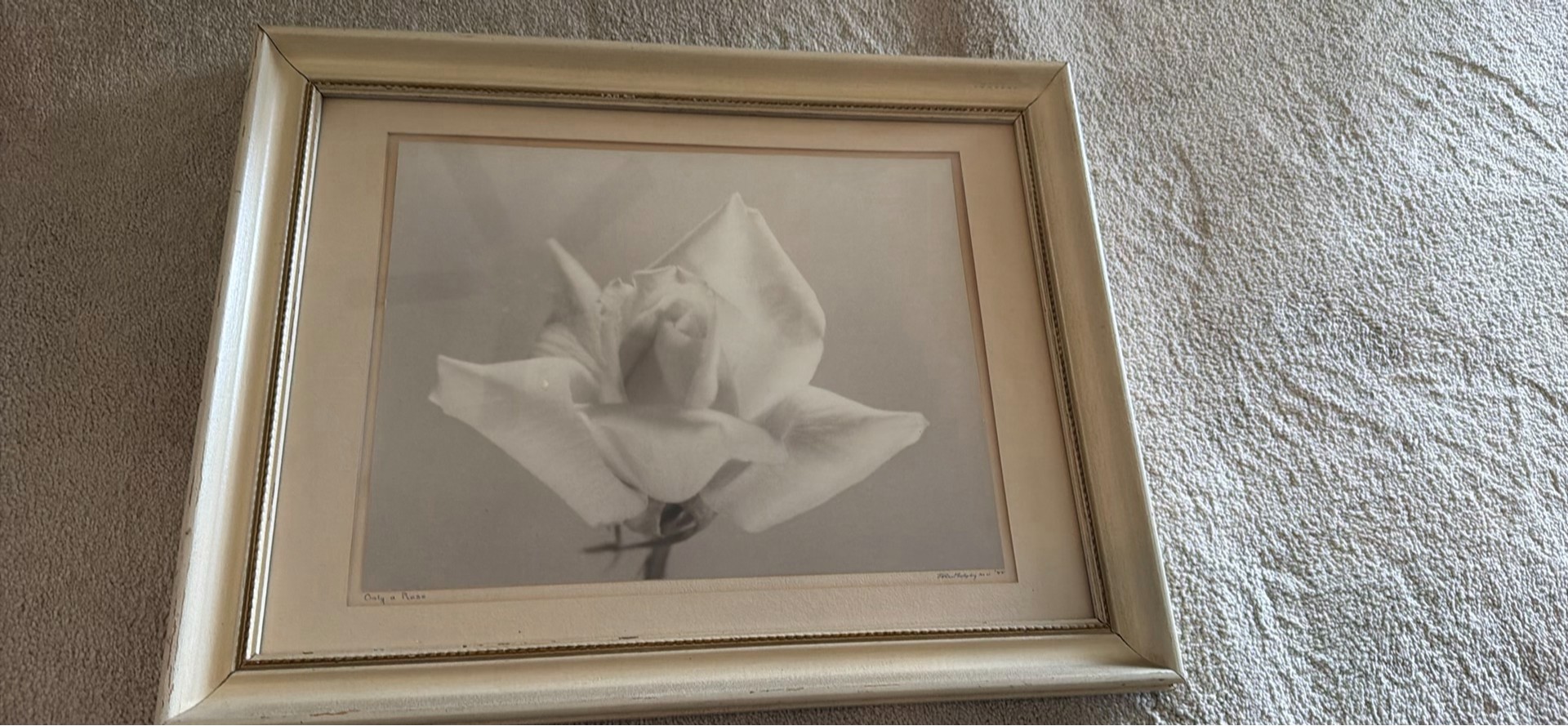 Framed Black and White Rose Print - image 1 of 3