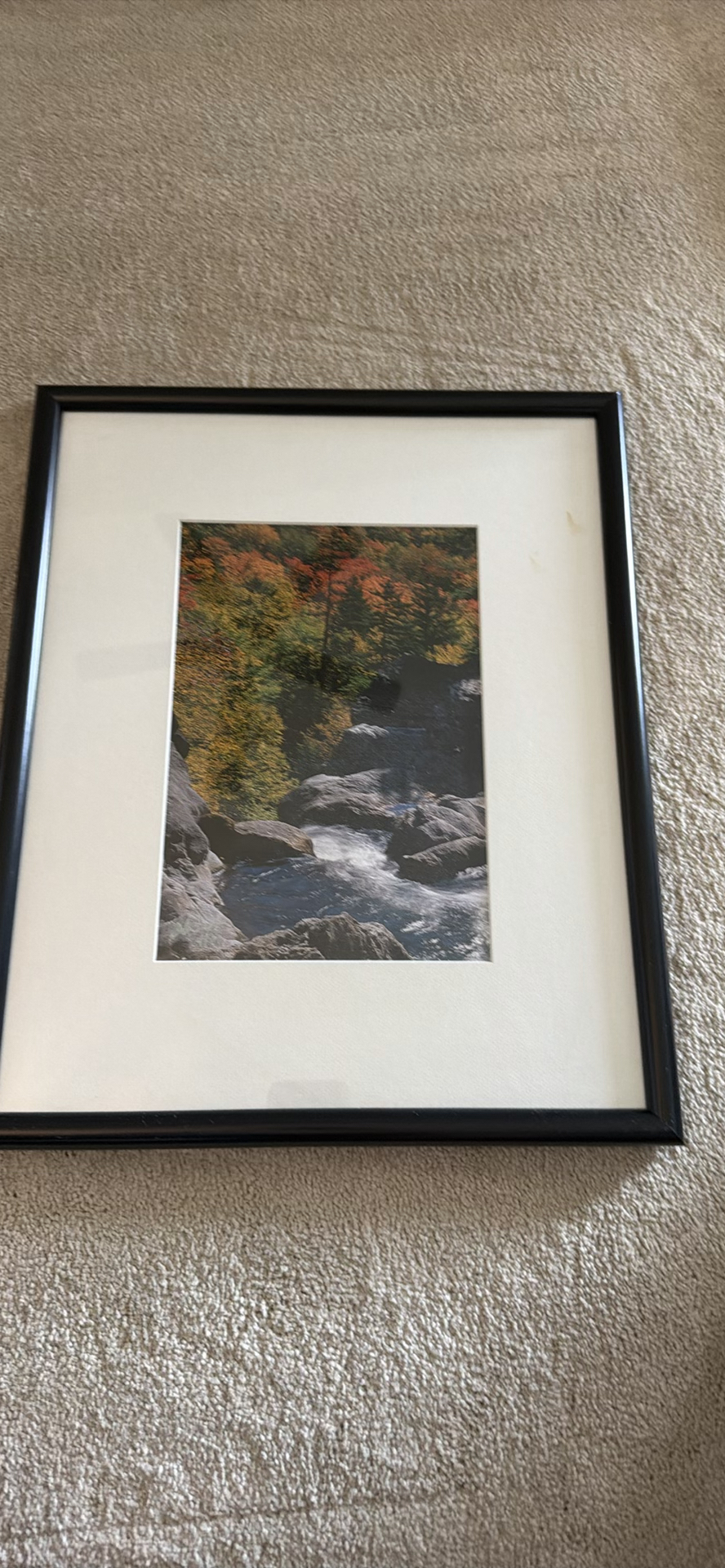 Framed Landscape Print - image 2 of 2