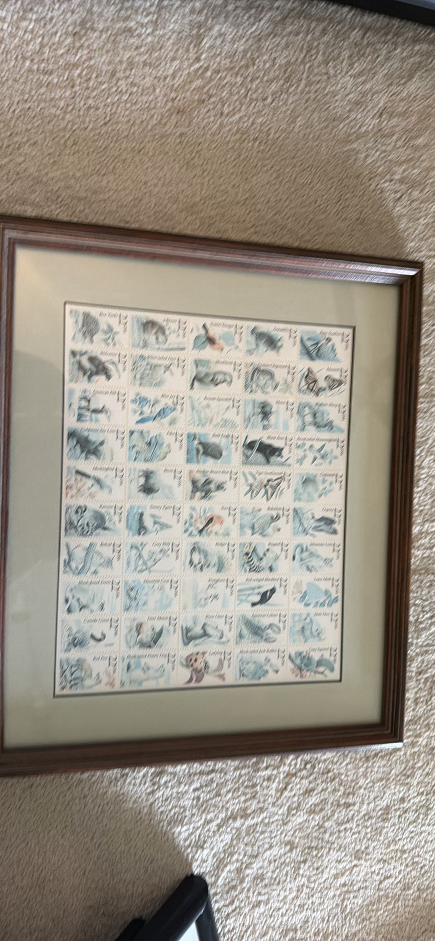 Framed Wildlife Stamp Display - image 2 of 3