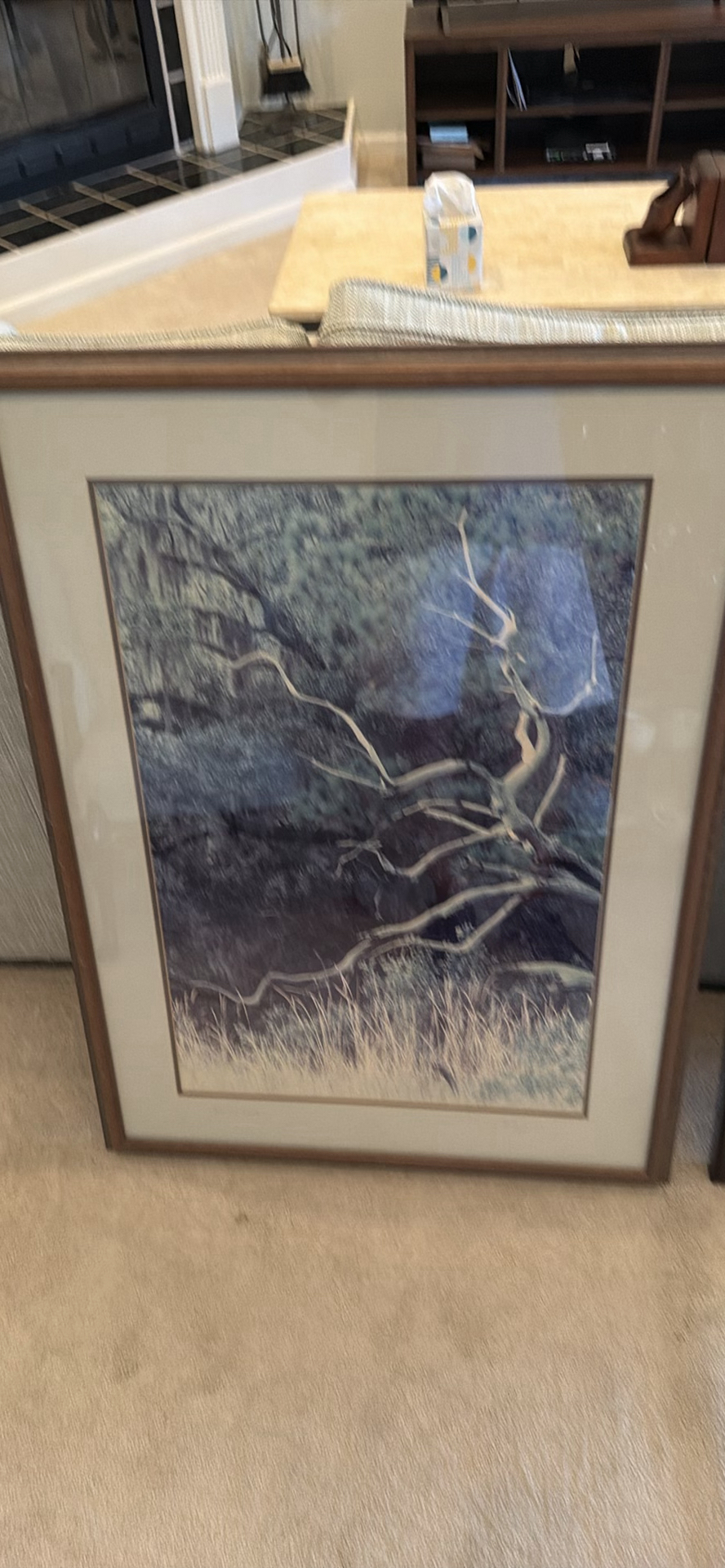Set of Framed Nature Art Prints - image 1 of 3