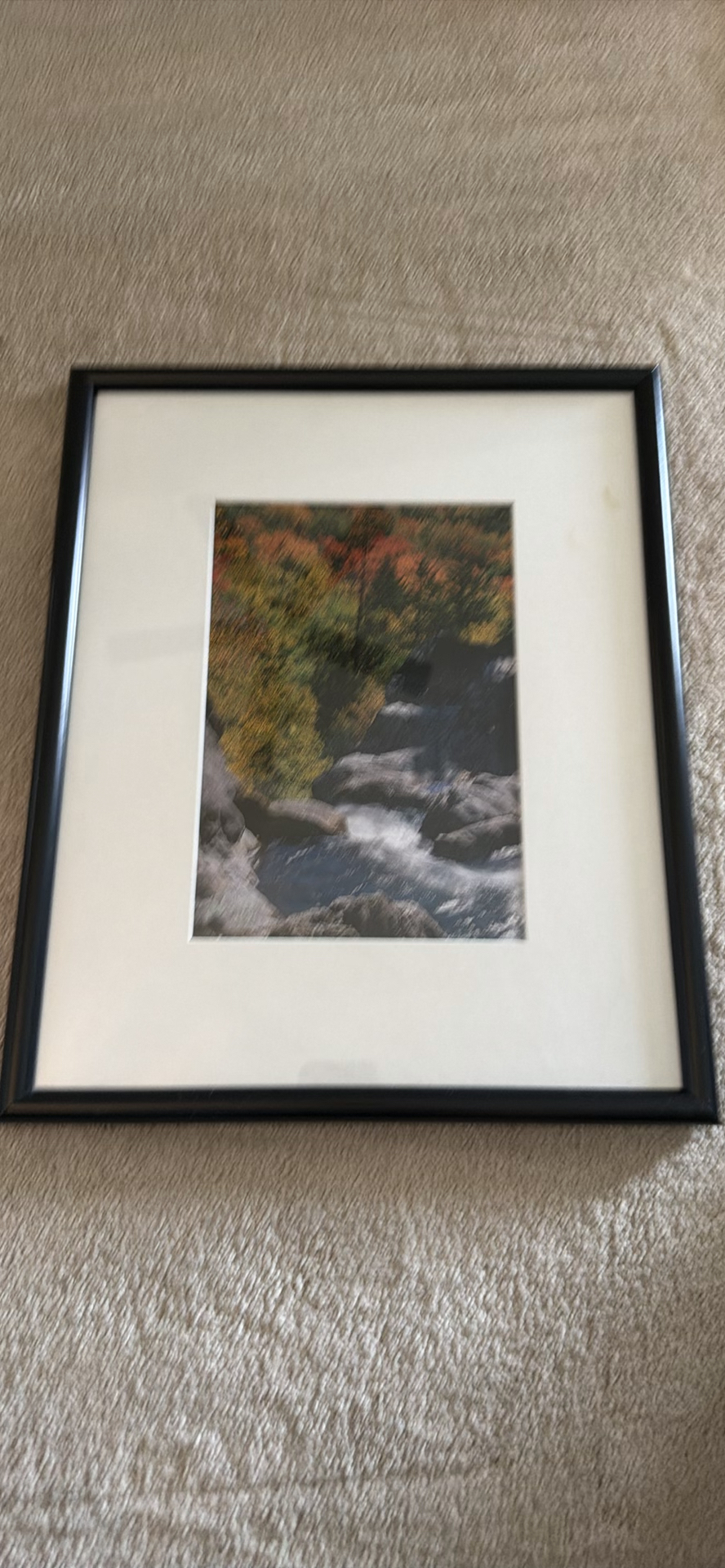 Framed Landscape Print - image 1 of 2
