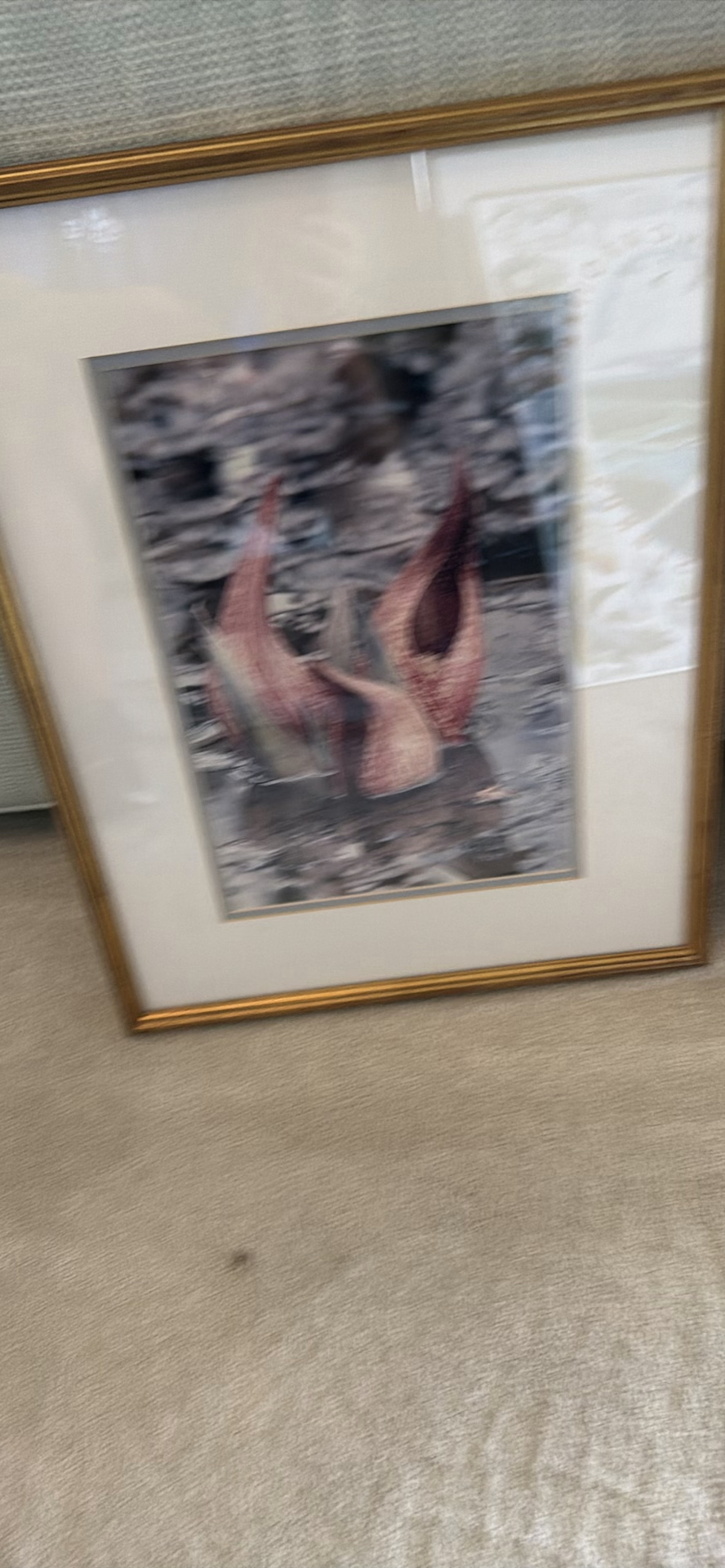 Two Framed Floral Art Prints - image 2 of 4