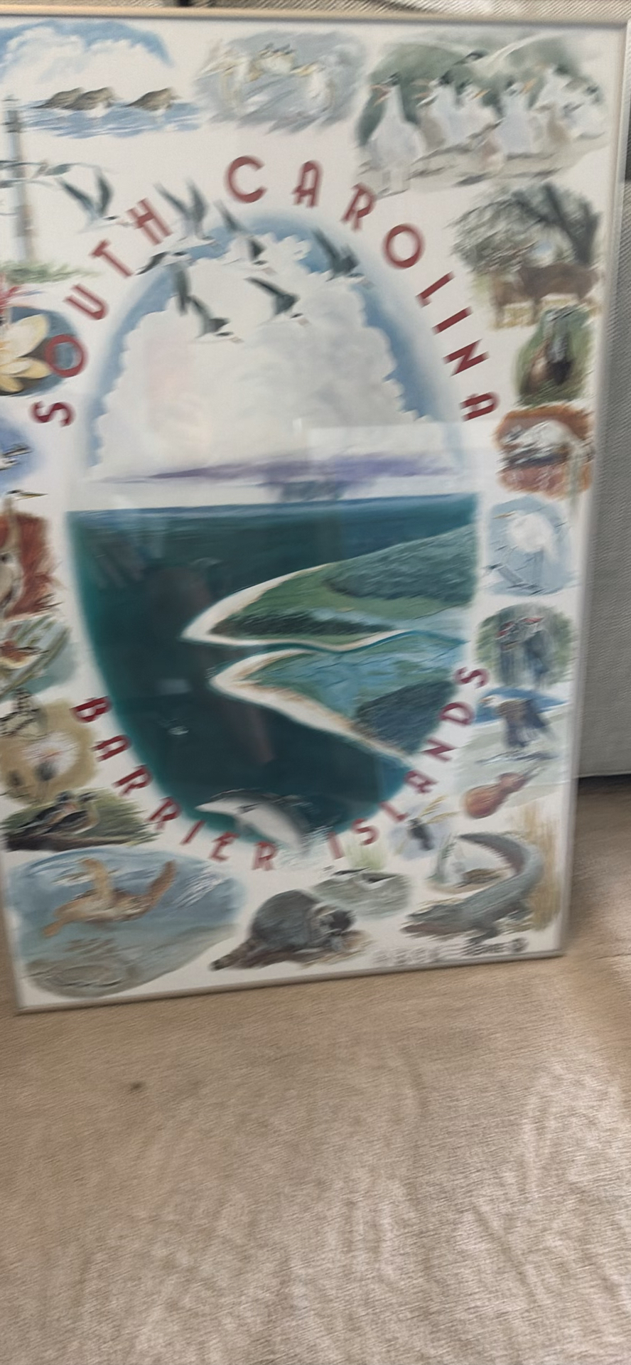 South Carolina Barrier Islands Framed Poster - image 1 of 2