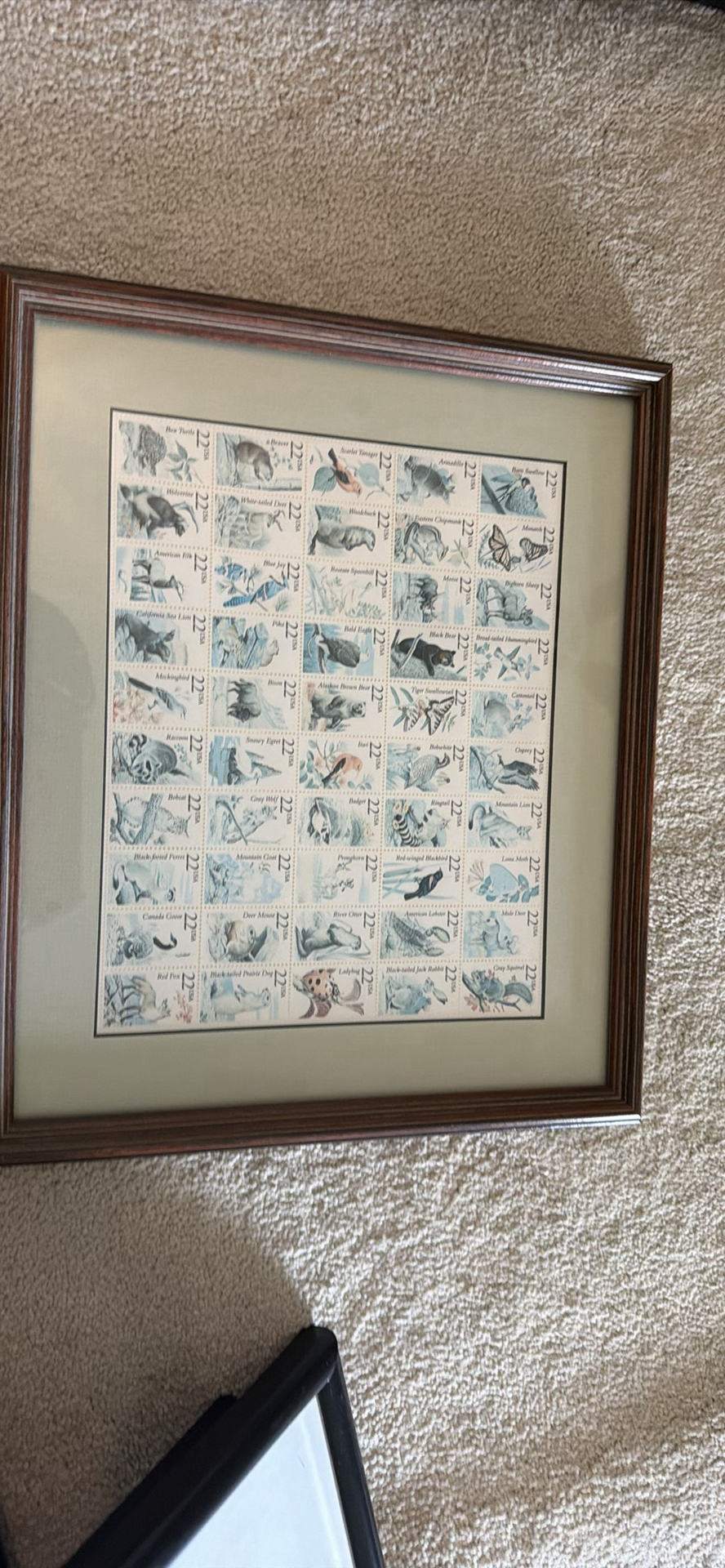 Framed Wildlife Stamp Display - image 1 of 3