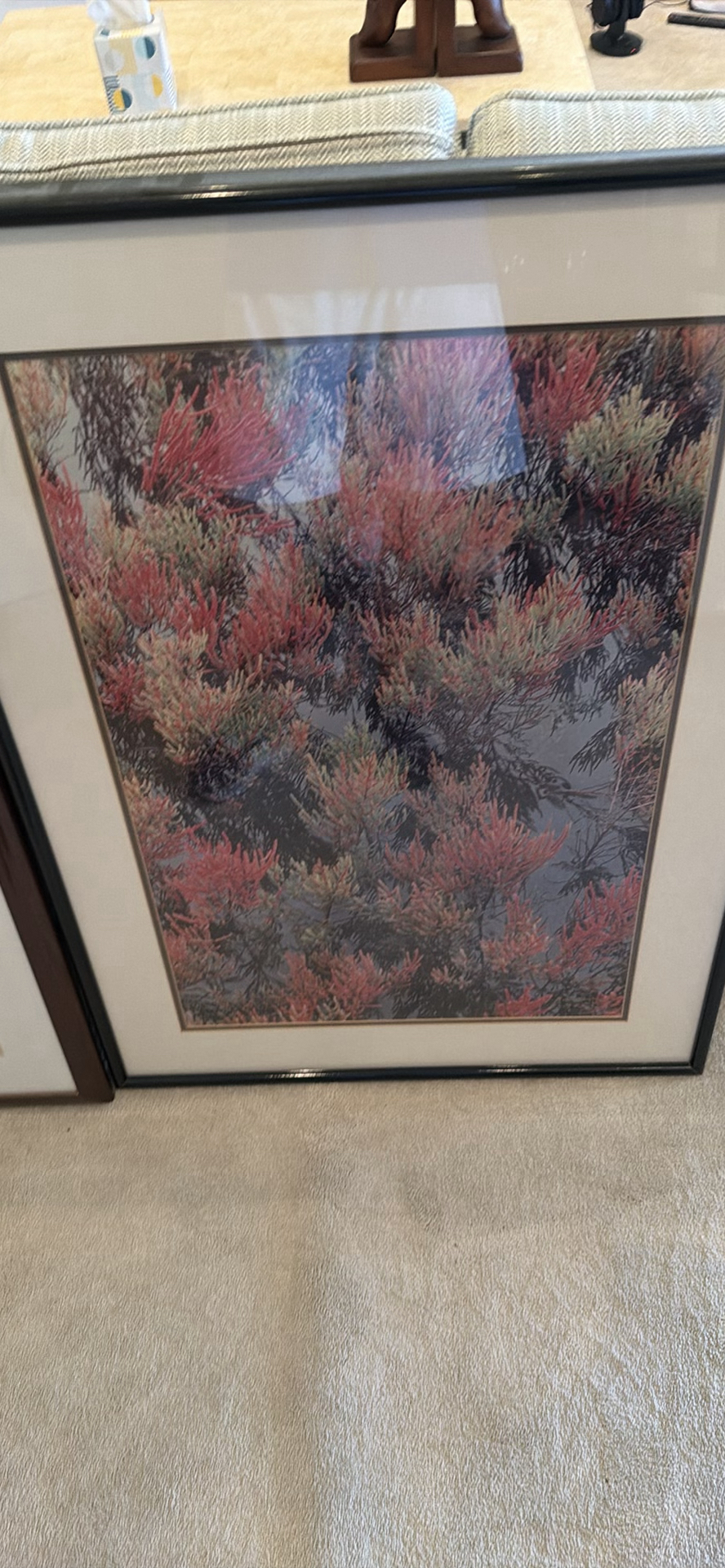 Two Framed Nature Art Prints - image 2 of 3